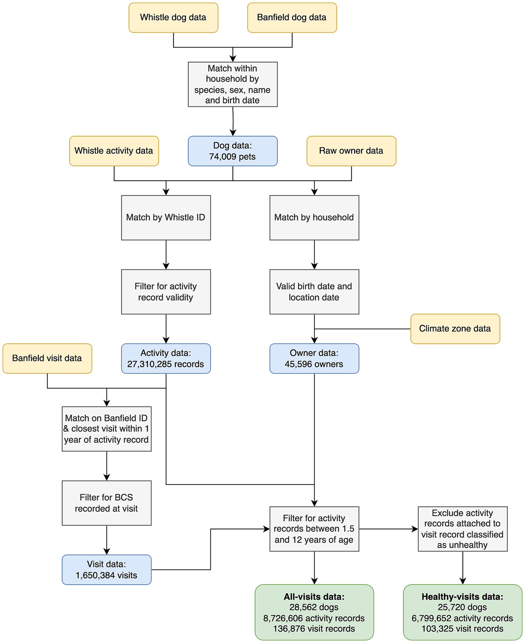 Flowchart illustrating the process of integrating dog data from Whistle and Banfield. It begins by matching data within households by species, sex, name, and birth date, producing a dataset of 74,009 pets. This splits into Whistle activity data, filtered for validity, resulting in 27,310,285 activity records, and raw owner data, resulting in 45,596 owners. Banfield visit data is matched by ID and filtered, yielding 1,650,384 visits. Data is further refined for ages 1.5 to 12 years, excluding unhealthy records. Final datasets include