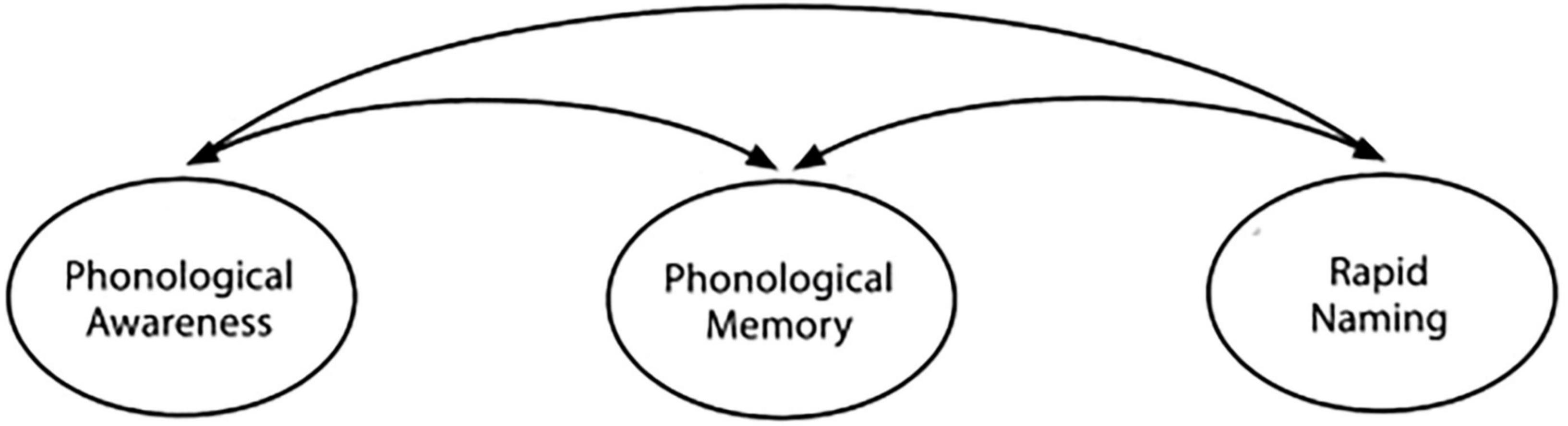 Diagram showing three ovals labeled “Phonological Awareness,” “Phonological Memory,” and “Rapid Naming,” connected by arrows pointing from the first oval to the other two.