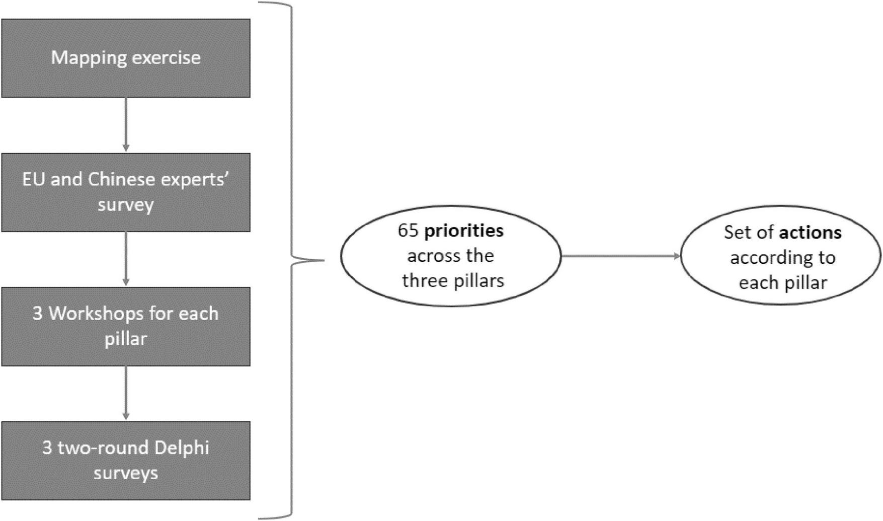 Flowchart outlining a process: Mapping exercise, EU and Chinese experts’ survey, three workshops for each pillar, three two-round Delphi surveys leading to 65 priorities across three pillars, resulting in a set of actions according to each pillar.