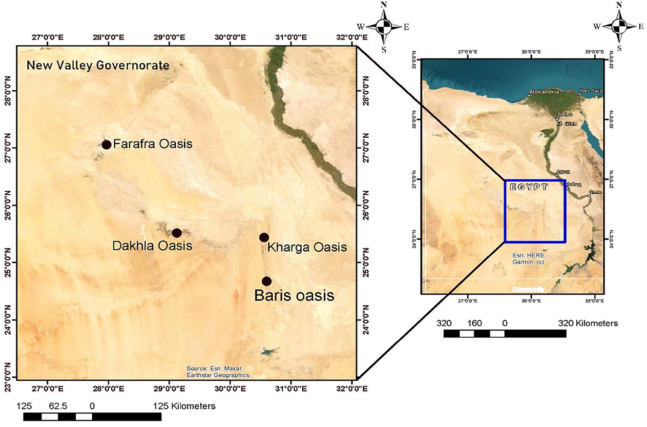 Map of Egypt highlighting New Valley Governorate with a detailed view of four oases: EL-Farafra, EL-Dakhla, EL-Kharga, and Baris. The inset shows the location within Egypt, showcasing major cities and geographic features. Compass rose and scale bars are included.