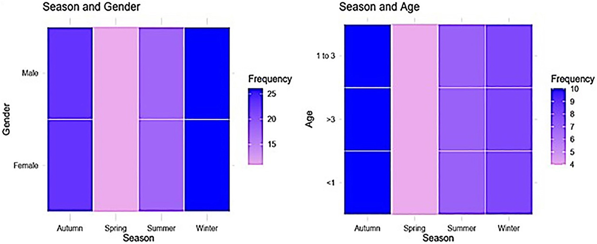 Two bar charts depict frequency distributions. The left chart shows frequency by gender and season, with color intensity indicating frequency, highest in spring for both genders. The right chart shows frequency by age group and season, with the highest frequency in spring for all age groups. A gradient legend indicates frequency levels.
