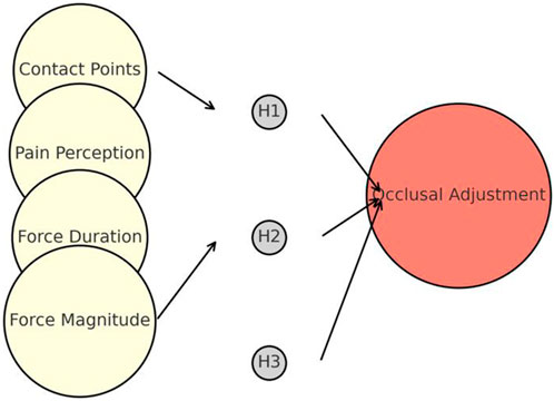 Flowchart illustrating the relationship between three yellow circles labeled as Contact Points, Pain Perception, Force Duration, and Force Magnitude. These connect to hypotheses H1 and H2, leading to a red circle labeled Occlusal Adjustment. Hypothesis H3 is shown but unconnected.