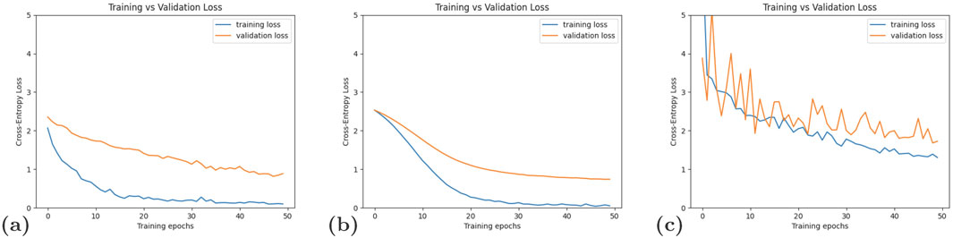 Three line graphs labeled (a), (b), and (c) compare training vs. validation loss across 50 training epochs. The y-axis shows cross-entropy loss, ranging from 0 to 5. Graph (a) shows the training loss decreasing more rapidly than the validation loss. Graph (b) displays a similar downward trend, with both lines smoothing out. Graph (c) exhibits significant fluctuation in both lines initially, then both decrease more steadily.