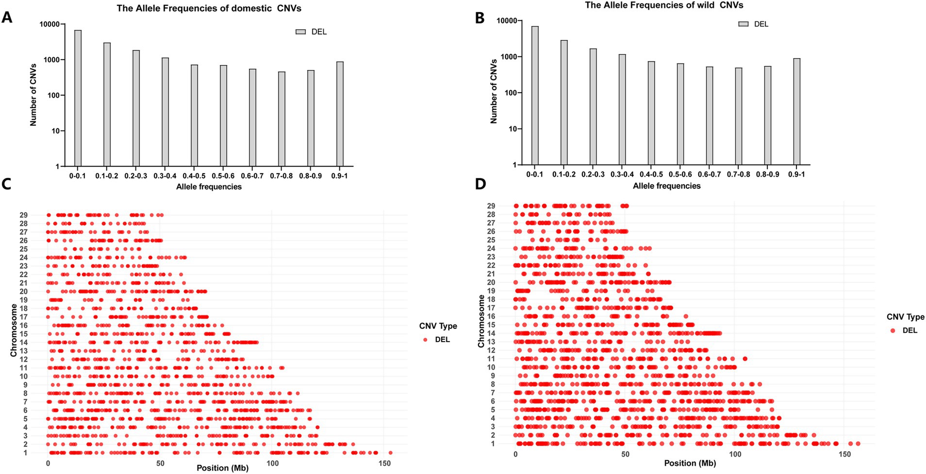 Graphs showcasing copy number variations (CNVs). Graphs A and B display bar charts of allele frequencies for domestic and wild CNVs, respectively, across different frequency ranges. Graphs C and D feature scatter plots of CNV deletions (DEL) across chromosomes 1 to 29, plotted against position in megabases (Mb); domestic CNVs are in C, and wild CNVs are in D.