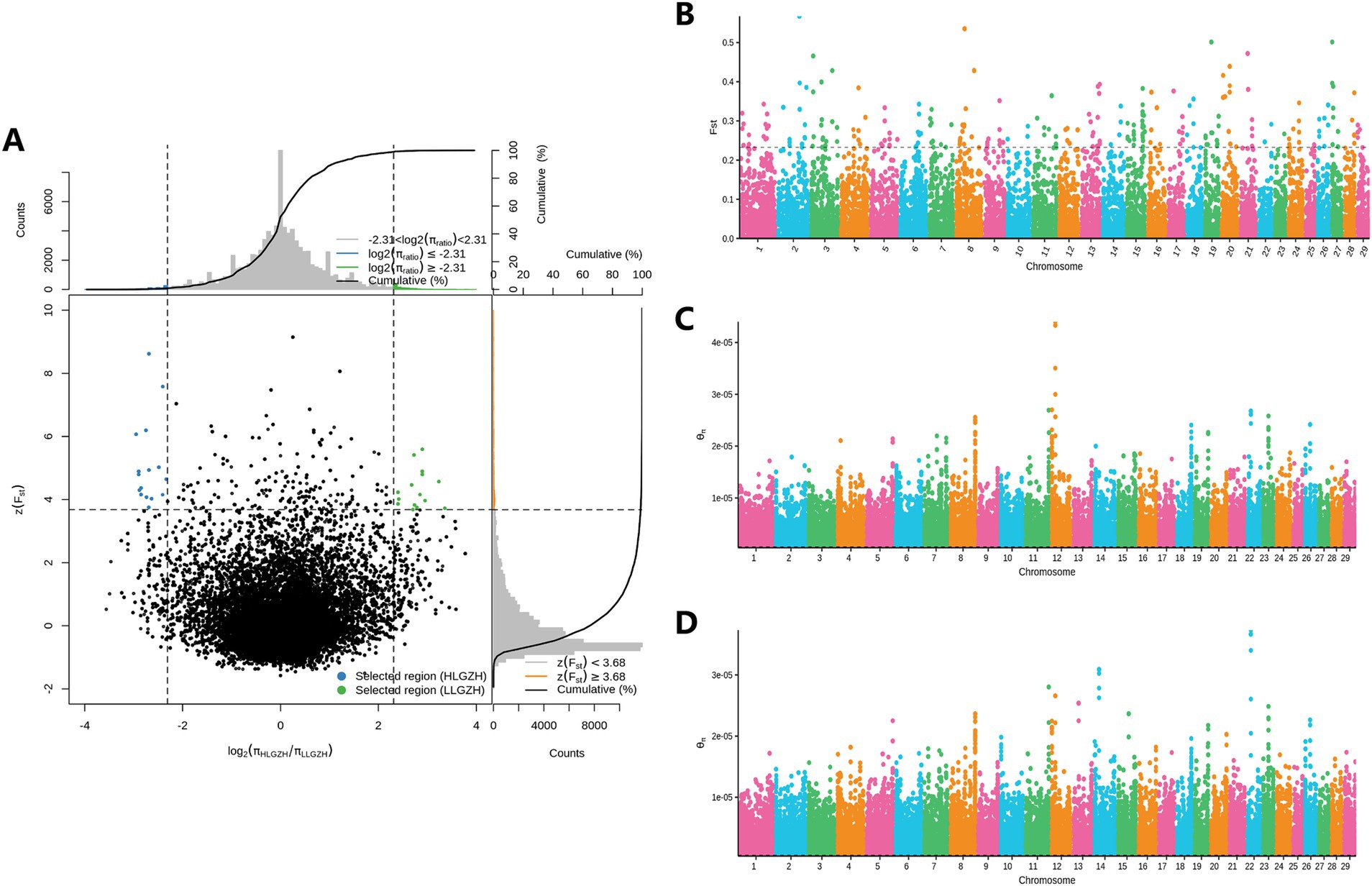 Panel A features a scatter plot with black dots displaying genetic data, alongside a histogram showing counts and cumulative percentages. Panels B, C, and D display Manhattan plots with F-statistics and theta values for chromosomes 1 to 29. Different colors represent distinct chromosomes in each plot.