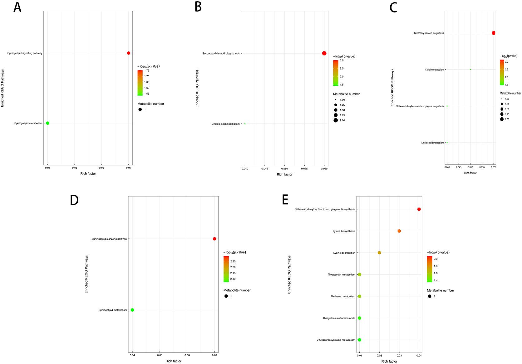 Five plots labeled A to E depict enriched KEGG pathways versus rich factor, with data points varying by color and size to represent -log10 p-value and metabolite number, respectively. Plots highlight different pathways such as “sphingolipid signaling” in A and D, “secondary bile acid biosynthesis” in B and C, and “sterol biosynthesis” in E. Color gradients range from green to red indicating increasing -log10 p-value significance.