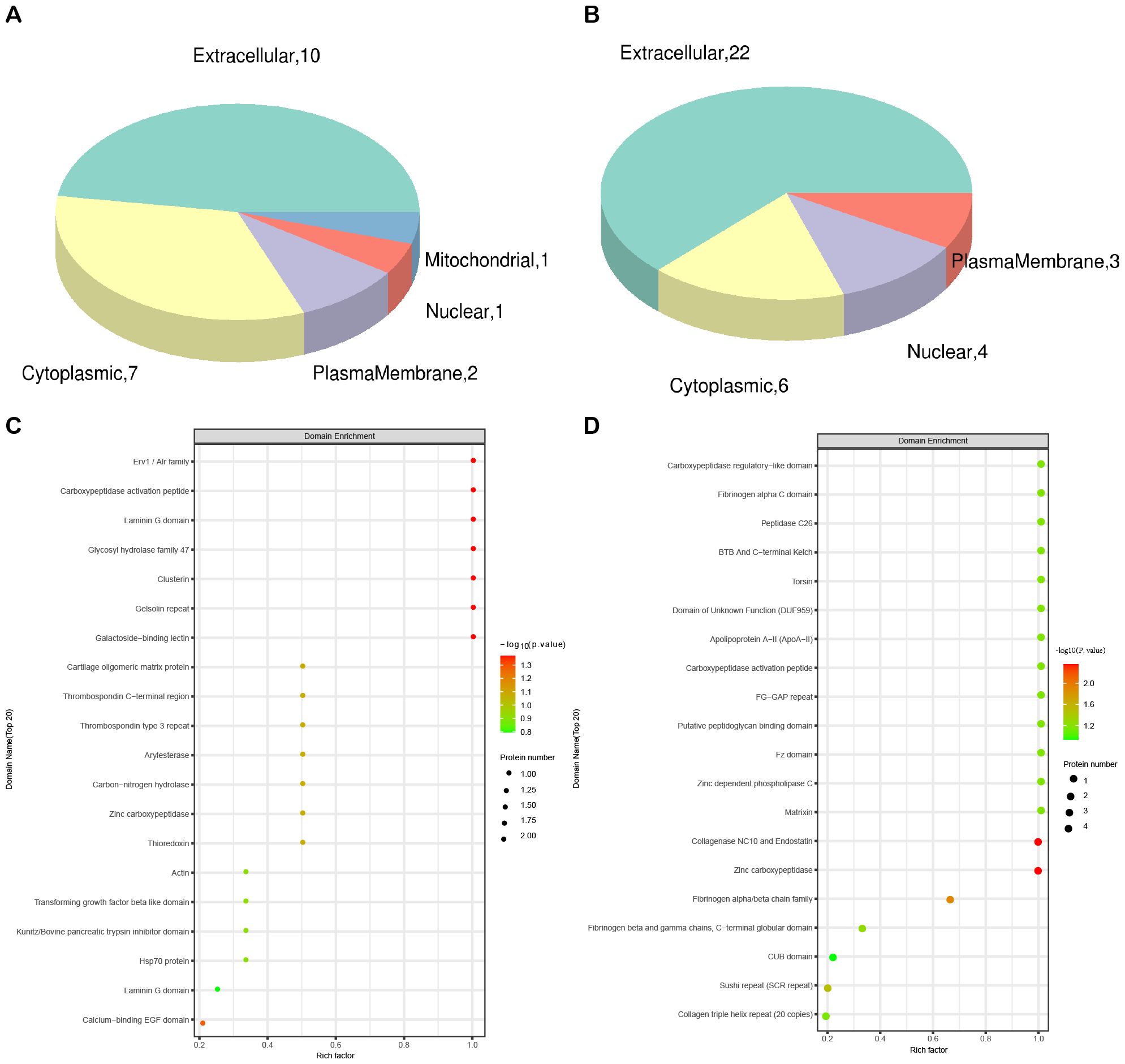 Four panels show protein distribution and domain enrichment analysis. Panel A and B are pie charts showing the distribution of proteins in various cellular locations. Panel A: Extracellular (10), Cytoplasmic (7), Plasma Membrane (2), Nuclear (1), Mitochondrial (1). Panel B: Extracellular (22), Cytoplasmic (6), Plasma Membrane (3), Nuclear (4). Panels C and D are dot plots for domain enrichment analysis. Panel C displays various domains with binned dot colors indicating significance. Panel D shows a similar analysis with different specific domains, both emphasizing enriched domains by color and size.