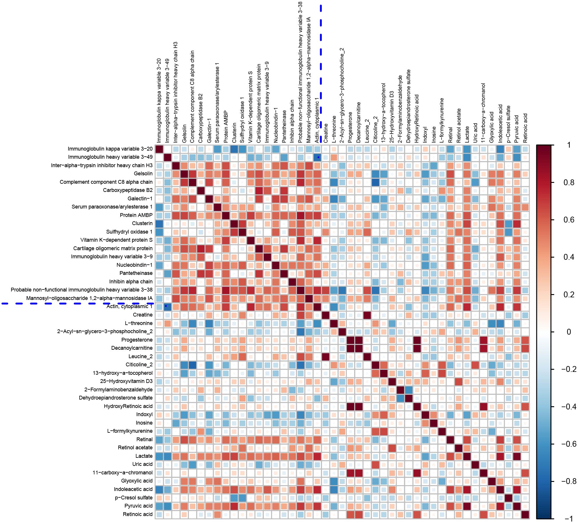 Heatmap visualizing protein-protein interactions, with proteins listed on both axes. Correlation values range from -1 to 1, represented by colors from blue (negative) to red (positive). Diagonal line of dark squares represents self-correlations.