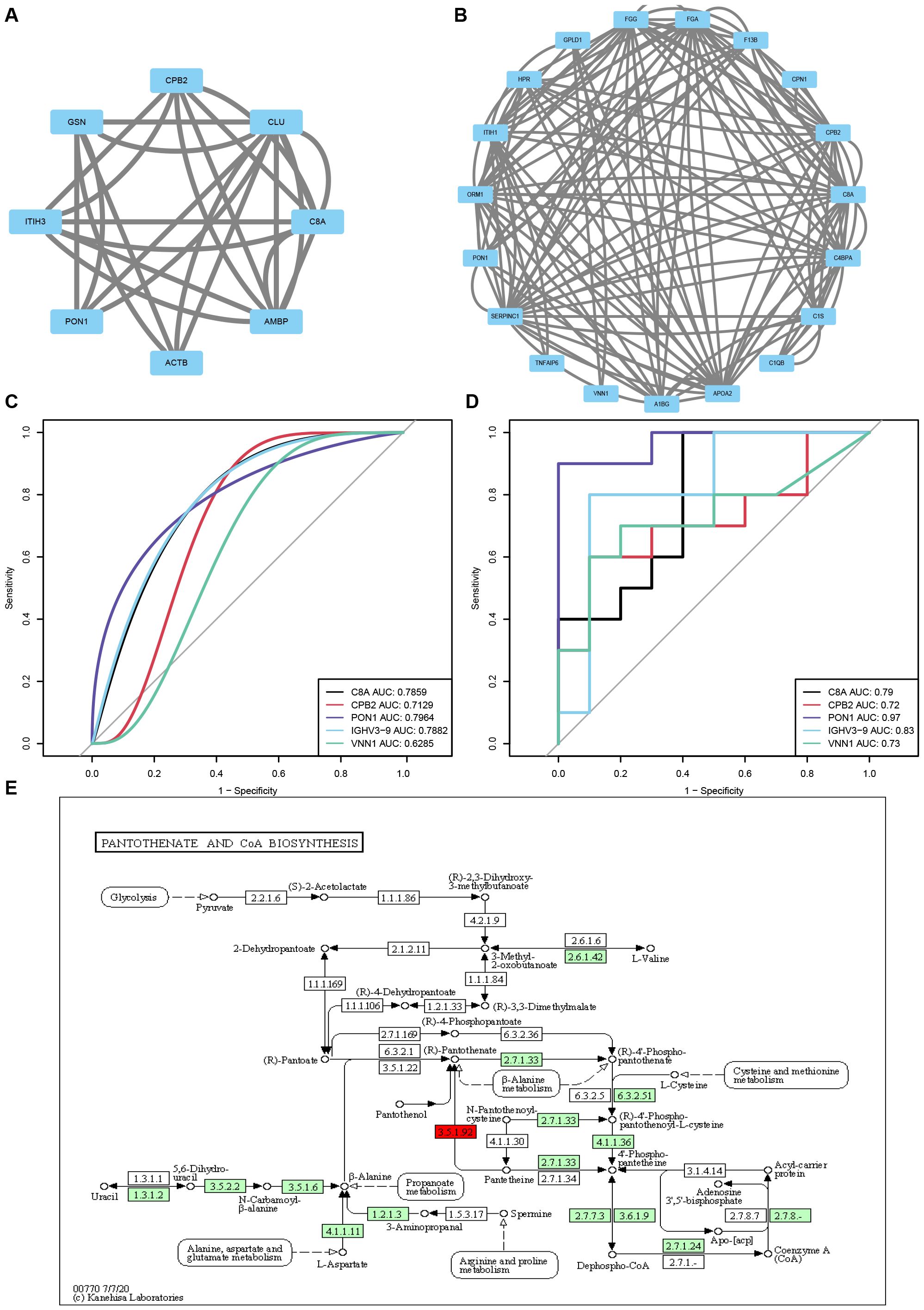 Network diagrams and ROC curves with metabolic pathway map. Panels A and B show network diagrams with nodes and connections; panel B includes more nodes and connections. C and D feature ROC curves comparing sensitivity and specificity for different markers, with varying AUC values. Panel E displays a detailed biosynthesis pathway map for pantothenate and CoA, including enzyme names and metabolic processes.
