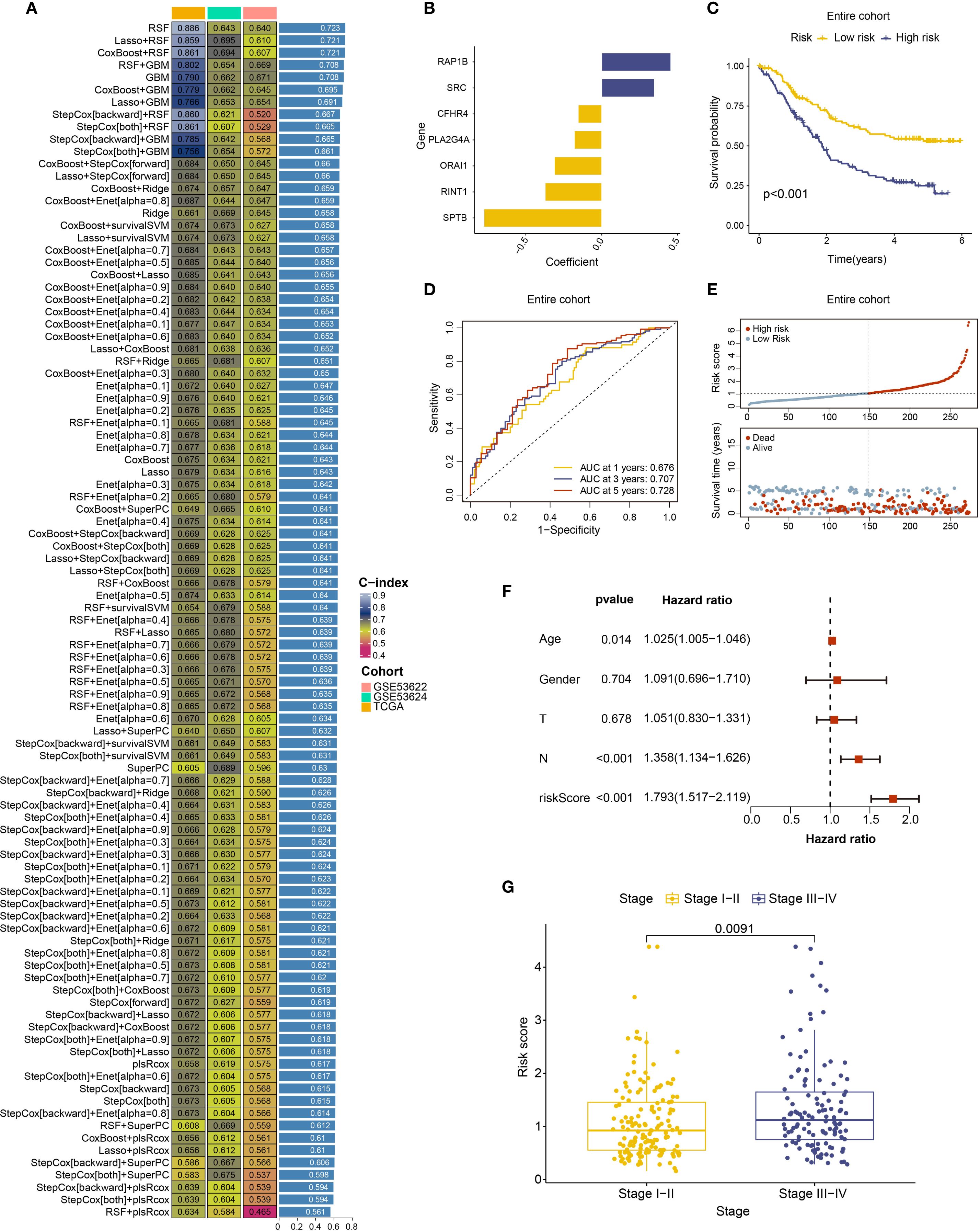 Composite image depicting statistical analyses and gene expression data in cancer research. Panel A shows a heatmap with C-index values for different models and cohorts. Panel B presents a bar chart of gene coefficients, highlighting RAP1B, SRC, and others. Panel C is a Kaplan-Meier survival curve comparing low and high risk groups. Panel D displays a ROC curve with AUC values at various time points. Panel E includes risk score distribution and survival statuses. Panel F presents a forest plot with hazard ratios for clinical variables. Panel G contains a box plot comparing risk scores between cancer stages, with a significant p-value of 0.0091.