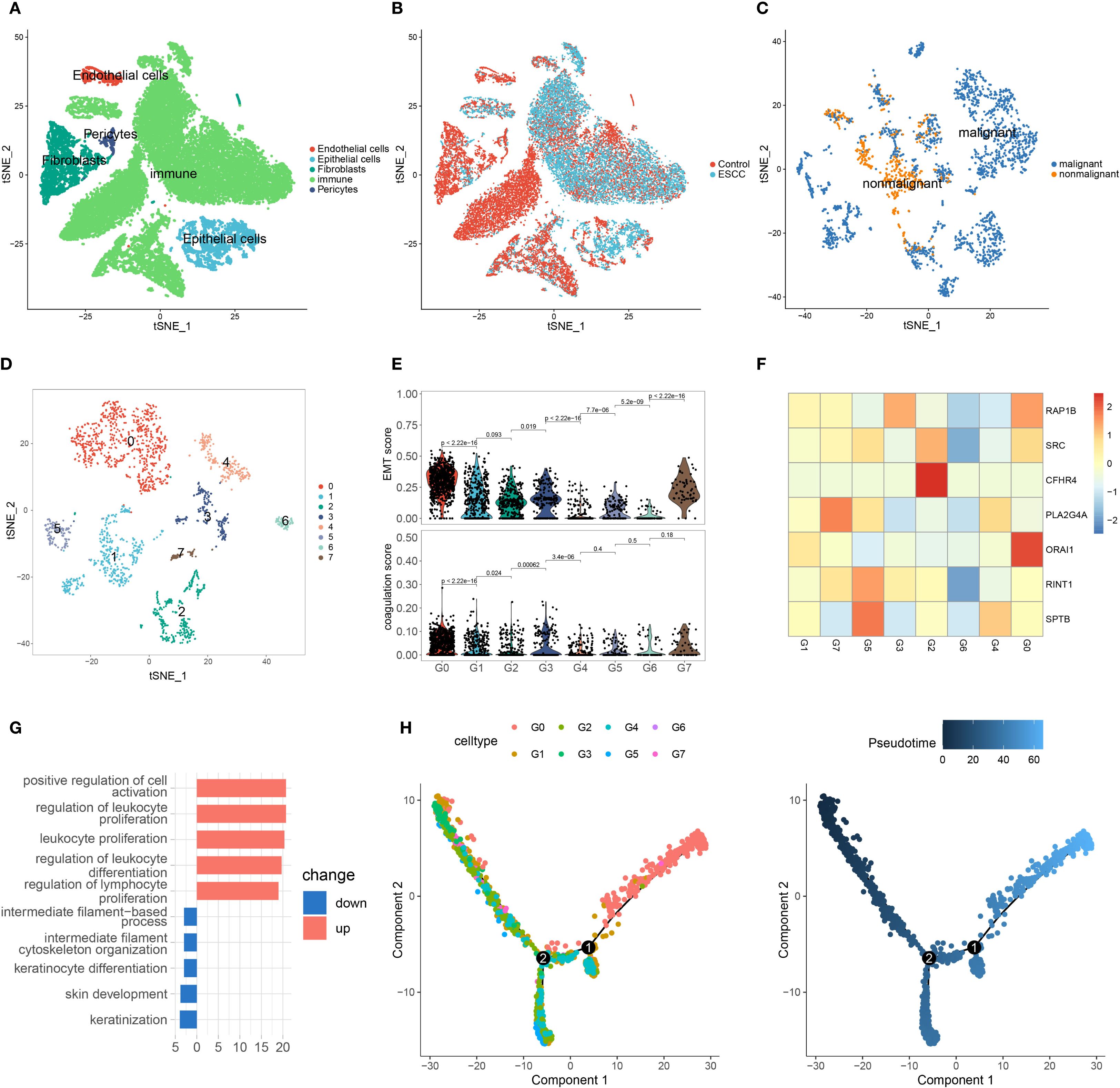 A series of visualizations depicting cellular and genetic analysis using t-SNE and component plots. Panels A to D show distributions of cell types and conditions in t-SNE plots. E displays violin plots with EMT and regulation scores, indicating statistically significant differences. F presents a heatmap of gene expression across different groups, with colors denoting expression levels. G contains a bar chart illustrating changes in biological processes, with bars indicating up or down regulation. H and I are component plots, with H showing cell types colored by group, while I shades components by pseudotime.