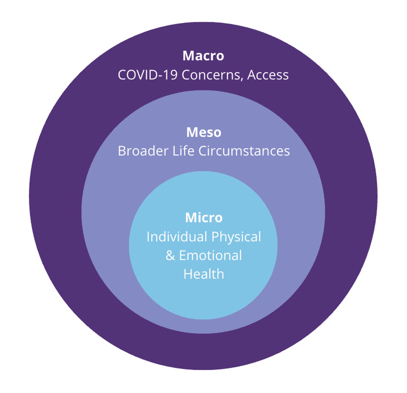 Concentric circles illustrate three levels of influence: Micro, Meso, and Macro. The innermost circle, labeled