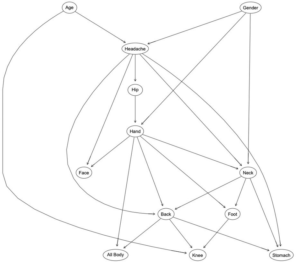 Directed acyclic graph representing a learned Bayesian network of chronic pain locations and demographic covariates. Nodes represent variables including age, gender, and pain at specific body sites. Arrows indicate conditional dependencies, such as age and gender influencing headache, which in turn is connected to hip, hand, face, and other regions. The hand node is highly connected, suggesting a central role in the network. Multiple pathways converge on general pain outcomes like “all body” and back pain, reflecting complex interdependencies among pain locations and demographics.