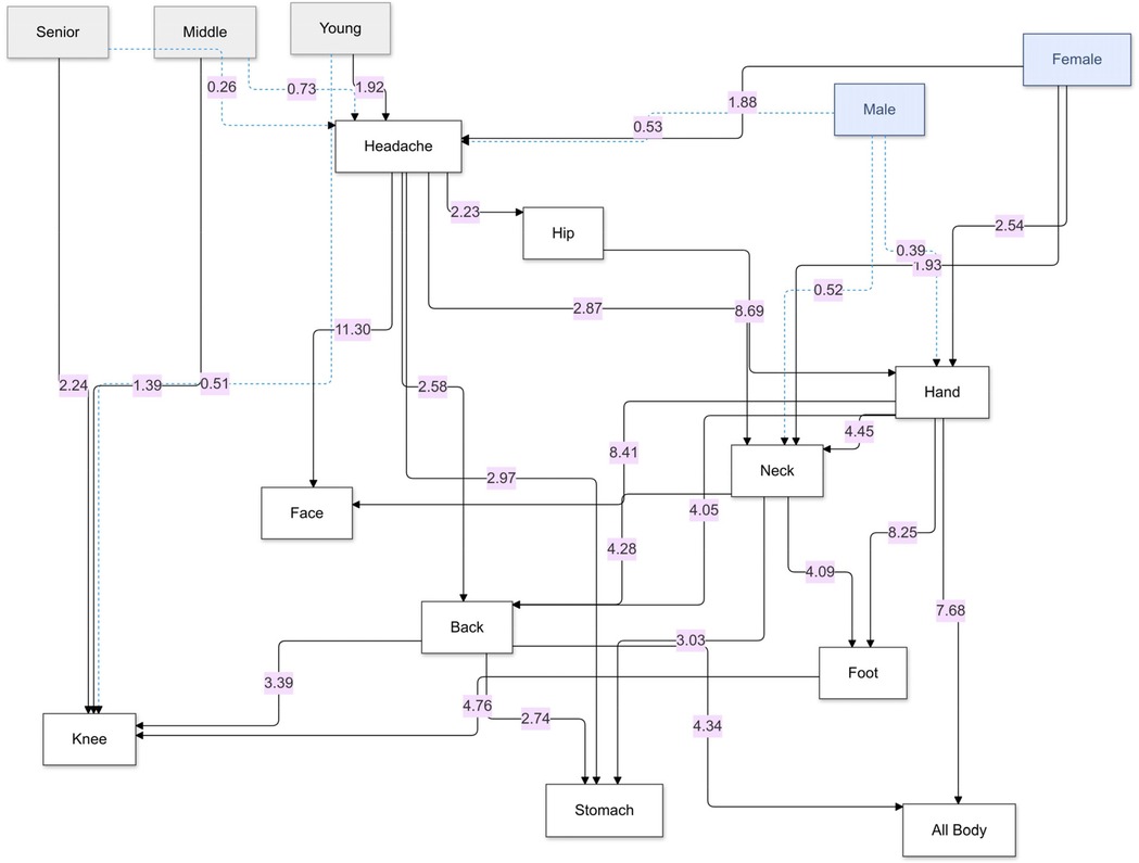 Directed network diagram showing relationships between chronic pain sites and demographic groups with annotated edge weights. Rectangular nodes represent age groups (senior, middle, young), gender (male, female), and pain locations (e.g., headache, hip, hand, neck). Solid black arrows indicate directional associations among pain regions, while dashed blue arrows represent demographic influences. Edge weights, shown in purple boxes, indicate the strength of associations (e.g., headache to face: 11.30, neck to foot: 8.25). Strong connections exist from headache to face, hand to all-body pain, and neck to multiple regions, suggesting central roles in pain network propagation.