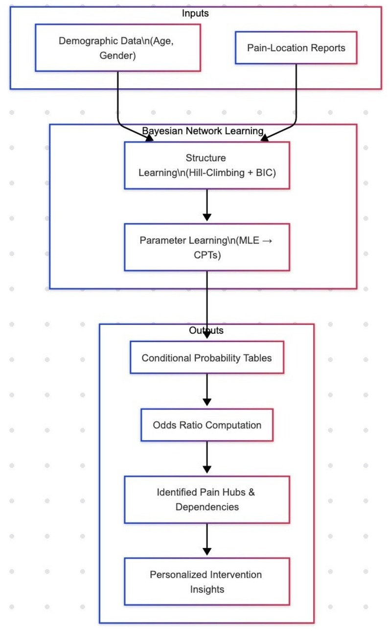 Flowchart detailing a Bayesian network learning pipeline for analyzing chronic pain. Inputs include demographic data (age, gender) and pain-location reports. These are used in Bayesian network learning, starting with structure learning via hill-climbing and Bayesian Information Criterion (BIC), followed by parameter learning using maximum likelihood estimation (MLE) to generate conditional probability tables (CPTs). Outputs include conditional probability tables, odds ratio computations, identification of pain hubs and dependencies, and generation of personalized intervention insights.
