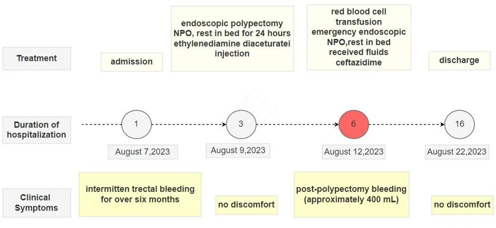 Timeline graphic depicting the treatment and hospitalization of a patient. Key events include admission on August 7, 2023, for endoscopic polypectomy with symptoms of intermittent rectal bleeding. No discomfort is noted on August 9, 2023. Post-polypectomy bleeding on August 12, 2023, required a red blood cell transfusion and emergency endoscopic intervention. Discharge occurred on August 22, 2023, with no discomfort reported. The timeline includes treatment specifics such as NPO status, bed rest, and medication.
