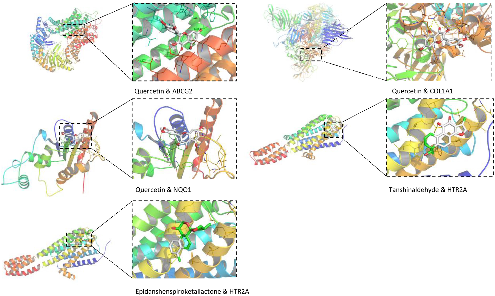 Diagram showing molecular interactions between compounds and proteins. Top left: Quercetin with ABCG2. Top right: Quercetin with COL1A1. Bottom left: Quercetin with NQO1. Bottom right: Tanshinaldehyde with HTR2A. Lower diagram highlights Epidanshenspiroketallactone with HTR2A. Each structure is color-coded, with zoomed views detailing binding sites.