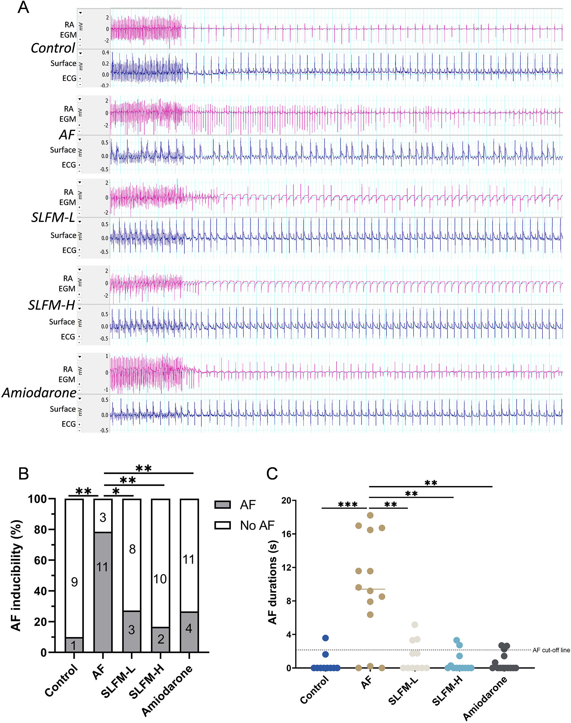 Panel A shows electrophysiological recordings comparing different conditions: Control, AF, SLFM-L, SLFM-H, and Amiodarone, with measurements from RA EGM and surface ECG. Panel B is a bar graph displaying AF inducibility percentages for each condition, indicating significant differences. Panel C is a scatter plot showing AF durations in seconds across different treatments, with statistical significance marked.