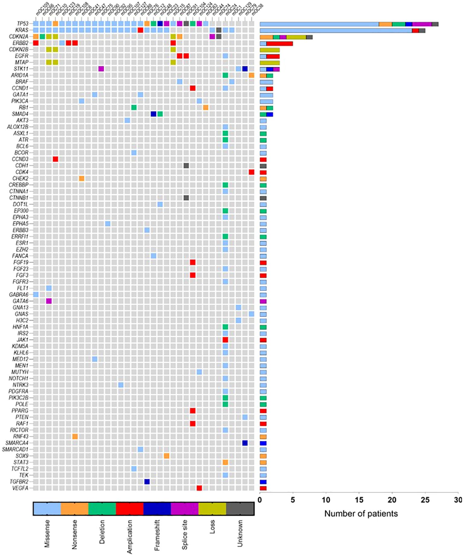 Oncoprint chart displaying genetic alterations in various genes across multiple patients. Rows represent genes, columns represent individual patients. Alteration types are color-coded, including missense, nonsense, deletion, amplification, frameshift, splice site, loss, and unknown. The horizontal bar graph on the right indicates the number of patients with each gene alteration. A color legend is included at the bottom.