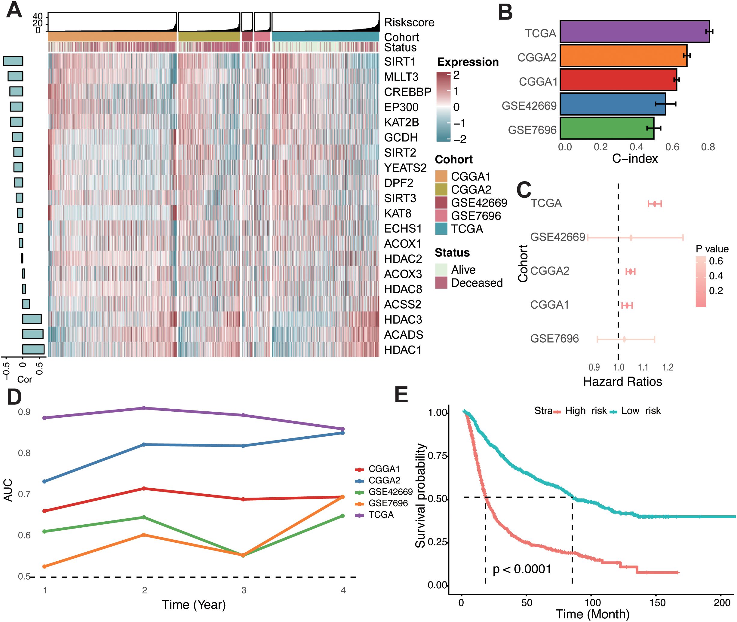 Charts A to F and H show scatter plots comparing mutation and neoantigen counts in low versus high-risk groups, with significant differences indicated (p < 0.0001). Chart G shows a frequency graph of copy number alterations, with gains and losses in high and low-risk groups marked in different colors.