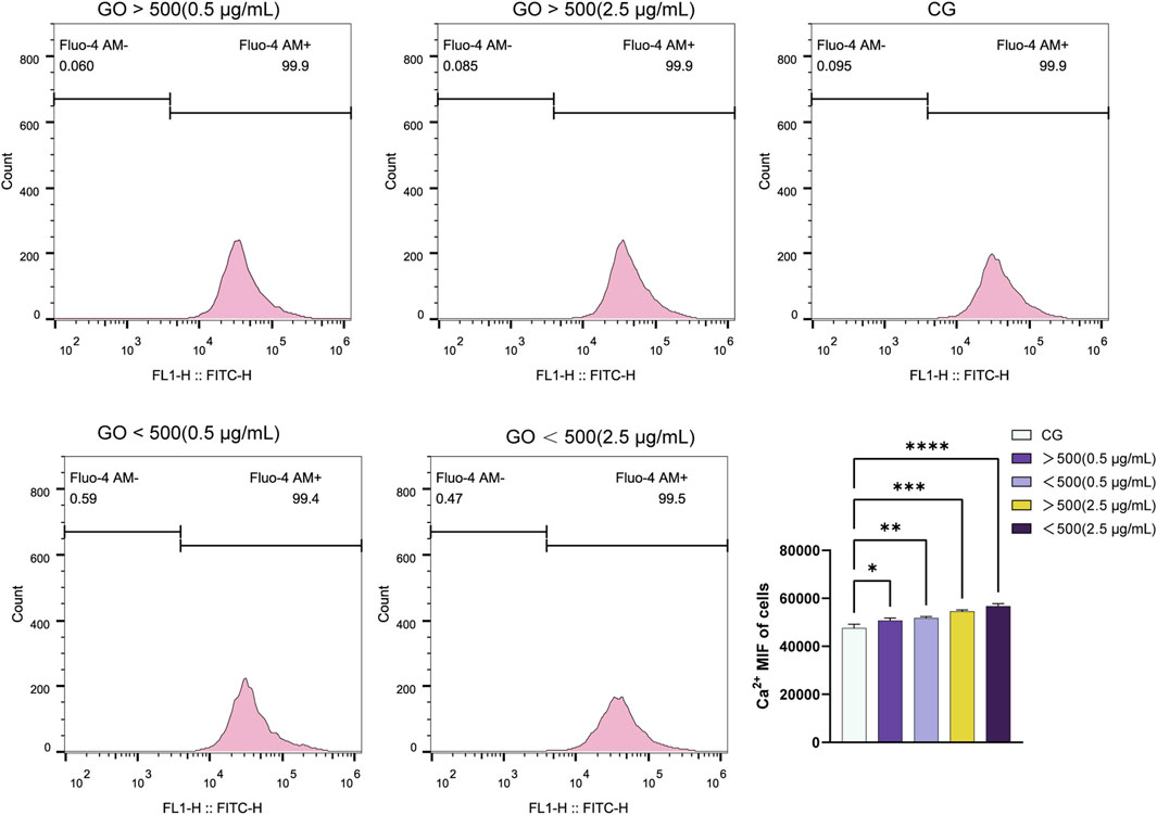 Flow cytometry histograms and a bar graph. The histograms depict cell count versus fluorescence intensity for different GO concentrations with Fluo-4 AM indicators. Each plot shows the percentage of Fluo-4 AM positive cells, all close to 99.9 percent. The bar graph compares calcium ion mean fluorescence intensity across different conditions, with statistical significance indicated by asterisks. Bars are color-coded: light gray for CG, purple for greater than 500 microgram per milliliter (0.5 milligram per milliliter), yellow for less than 500 microgram per milliliter (0.5 milligram per milliliter), lavender for greater than 500 microgram per milliliter (2.5 milligram per milliliter), and dark purple for less than 500 microgram per milliliter (2.5 milligram per milliliter).