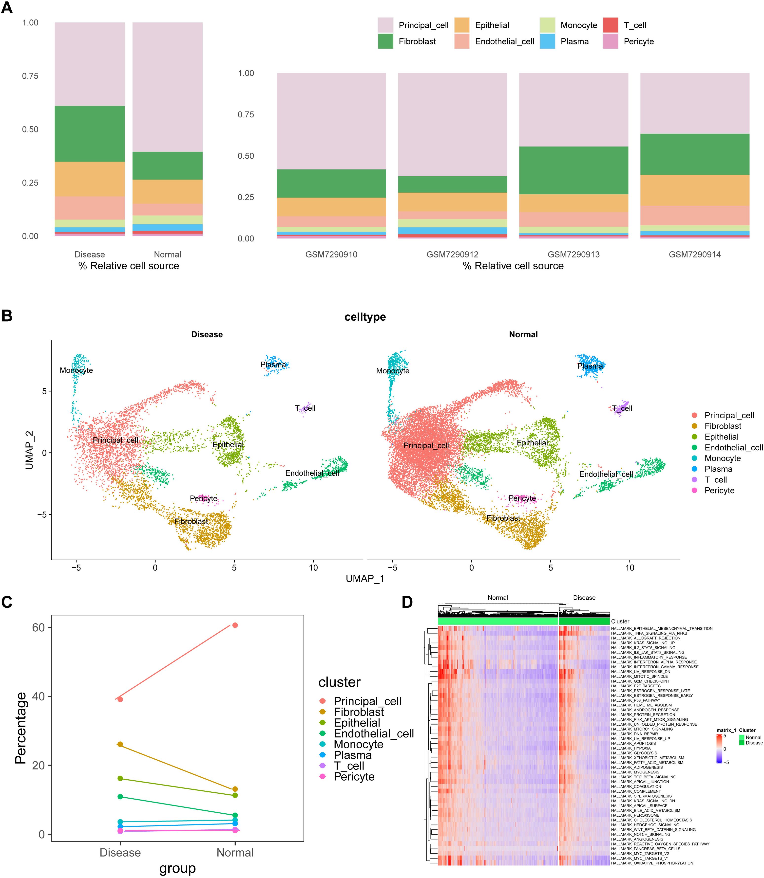 Panel A shows stacked bar graphs comparing the relative cell source percentages in disease and normal conditions across four datasets. Panel B displays UMAP plots illustrating cell type distributions between disease and normal states. Panel C presents a line graph showing percentage changes of different cell clusters between disease and normal groups. Panel D features a heatmap indicating gene expression levels across normal and disease conditions, with clusters annotated.