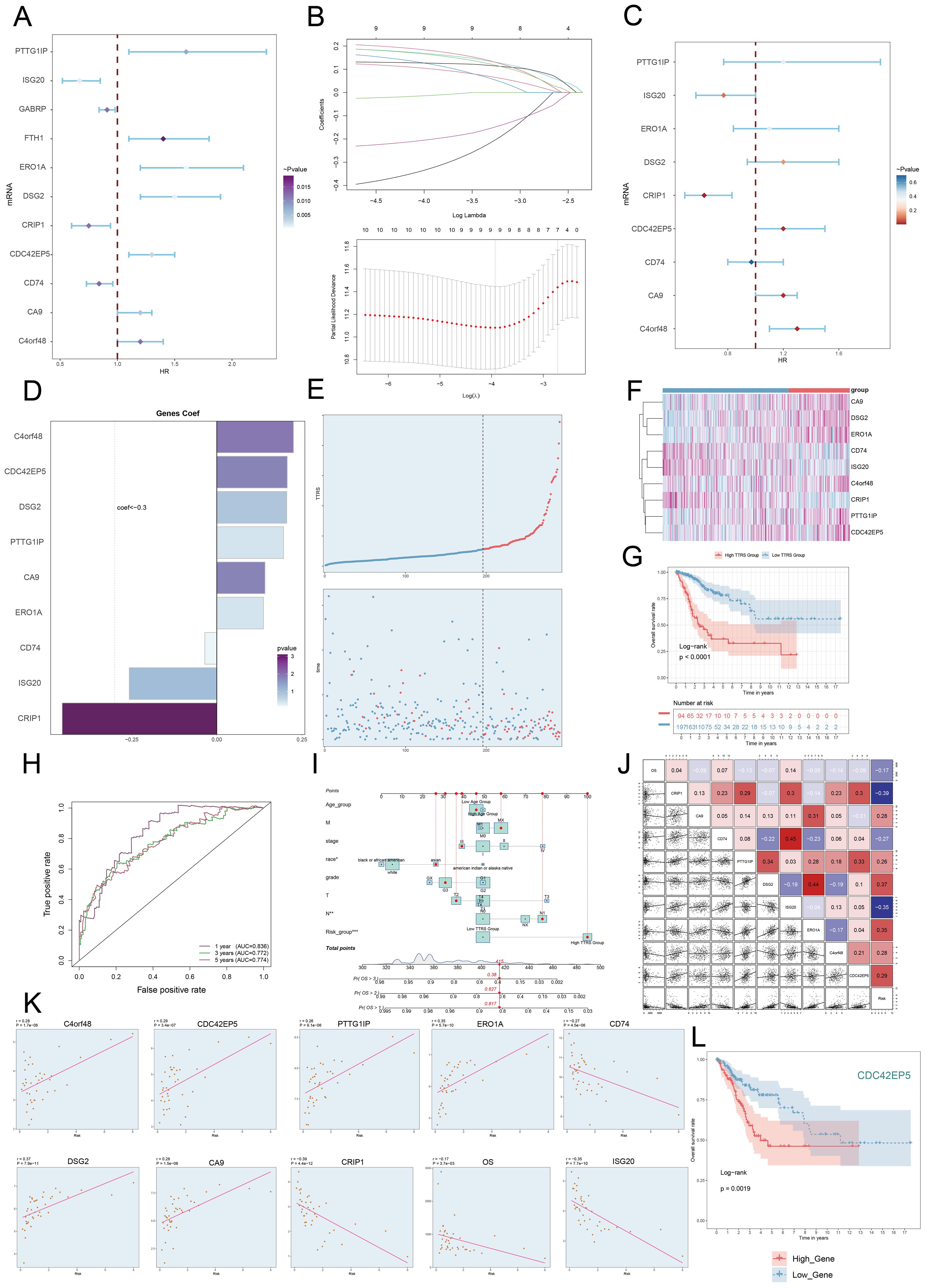 A series of scientific graphs and charts depicting various data analyses. These include forest plots, coefficient plots, heatmaps, survival curves, ROC curves, nomograms, and correlation matrices related to gene expression and prognostic studies. Each panel, labeled A to L, illustrates specific statistical results such as hazard ratios, model validations, variable importance, and survival outcomes across different groups or conditions, providing comprehensive insights and visualization of the analyzed data.