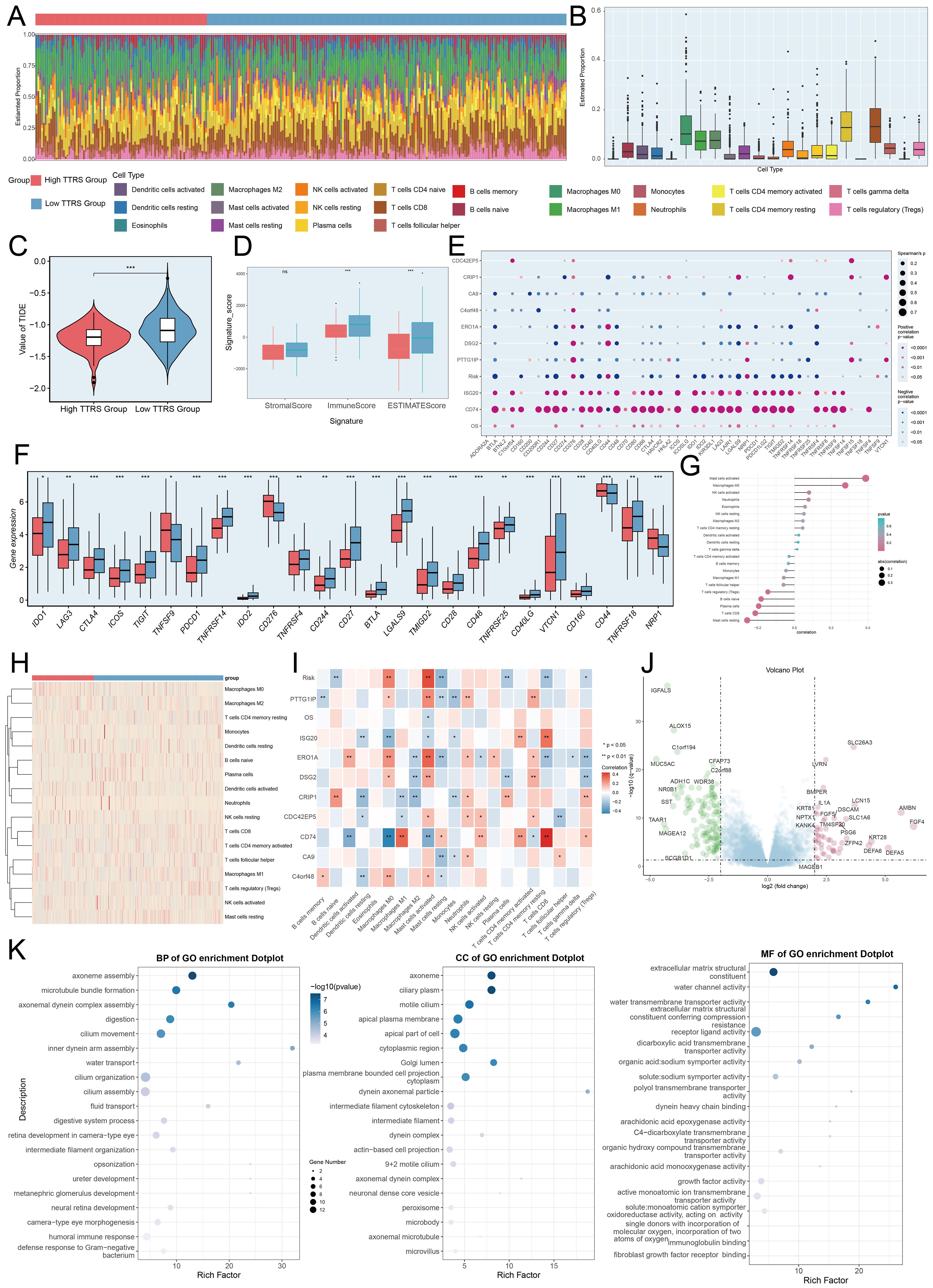 A series of graphs and plots displaying various data analyses related to cell types and gene expression. Panels include a stacked bar chart (A), box plots (B, D, F), violin plot (C), dot plots (E, K), cluster heatmaps (H, I), and a volcano plot (J). Each panel represents distinct data visualizations, such as immune cell distribution, gene expression comparisons, and enrichment analyses. Various statistical annotations are present, indicating significant differences and correlations among groups.