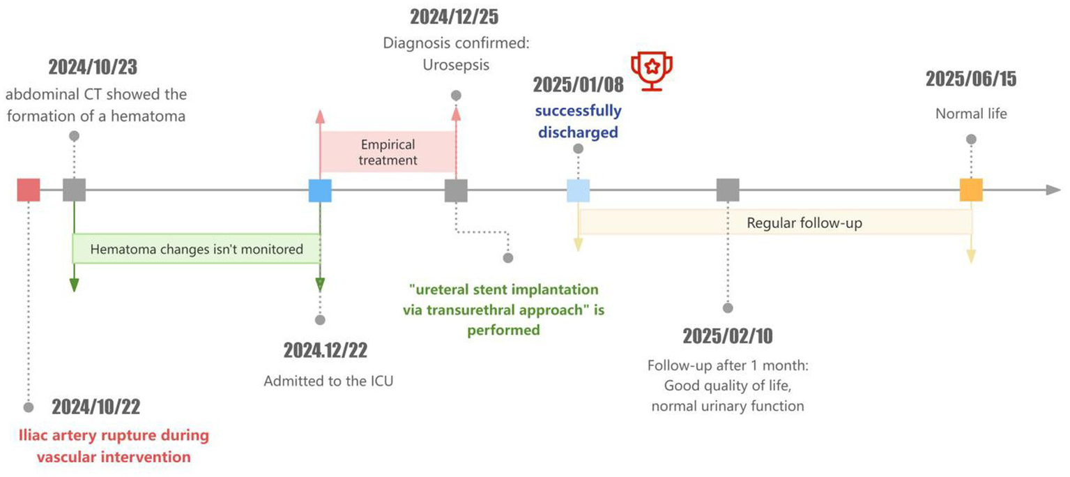 Timeline detailing a medical case from 2024 to 2025. Key dates include an iliac artery rupture on October 22, 2024, a hematoma discovered on October 23, 2024, and urosepsis diagnosis on December 25, 2024. A ureteral stent implantation occurred on December 22, 2024, with successful discharge on January 8, 2025. Follow-up in February showed good quality of life and normal urinary function. Normal life resumed on June 15, 2025.