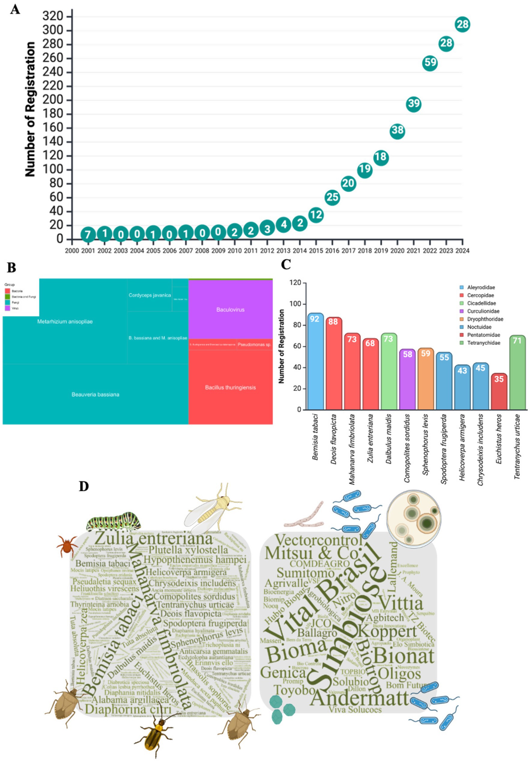 Chart A displays the increasing number of bioinsecticide registrations from 2000 to 2024, peaking at 59 in 2022. Chart B shows a treemap of bioinsecticide groups, highlighting Bacillus thuringiensis and Metarhizium anisopliae. Chart C is a bar chart of registrations across pest families, with Aleyrodidae and Cicadellidae leading. Diagram D is a word cloud, featuring pest and company names with insect illustrations.