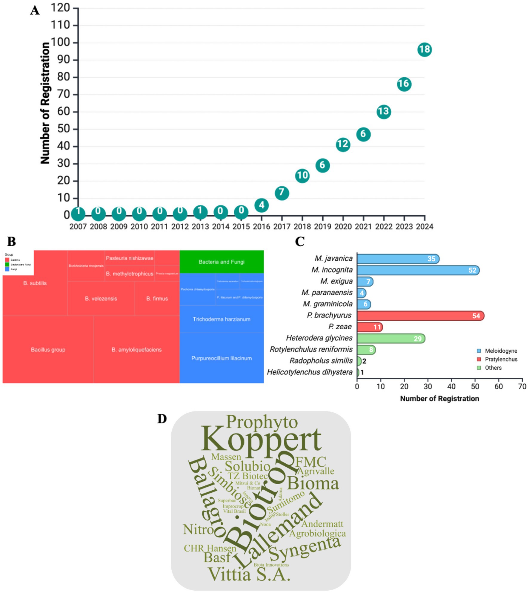 Four-panel image showing biopesticide and bioagent data. Panel A: Line graph of registrations from 2007 to 2024, with a notable increase beginning in 2014. Panel B: Treemap displaying various microbial groups like Bacillus and Trichoderma, color-coded by group. Panel C: Horizontal bar chart showing the number of registrations for different species, such as M. javanica and P. zeae, categorized by Meloidogyne, Pratylenchus, and others. Panel D: Word cloud highlighting company names, with