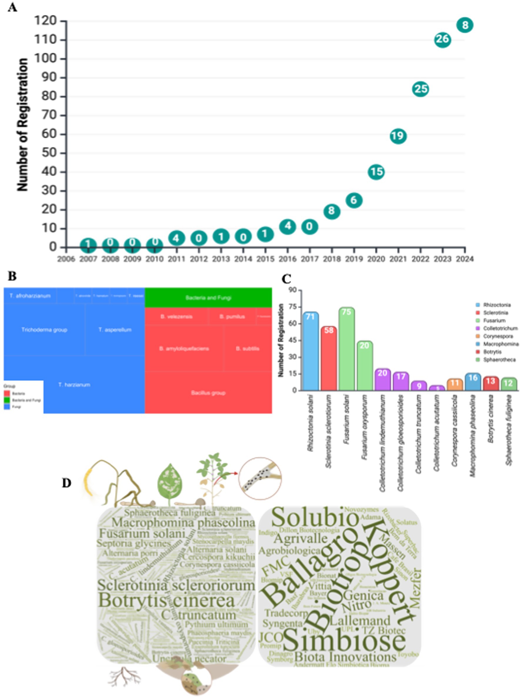 A collage of four images is shown: A) A line graph details the annual increase in registrations from 2006 to 2024, peaking at twenty-six in 2023.B) A color-coded heat map highlights groups of bacteria and fungi, differentiating between Trichoderma and Bacillus groups.C) A bar chart shows registration numbers for various pathogens, with Rhizoctonia solani having the most at seventy-five.D) A word cloud featuring names of fungi and agricultural companies, with
