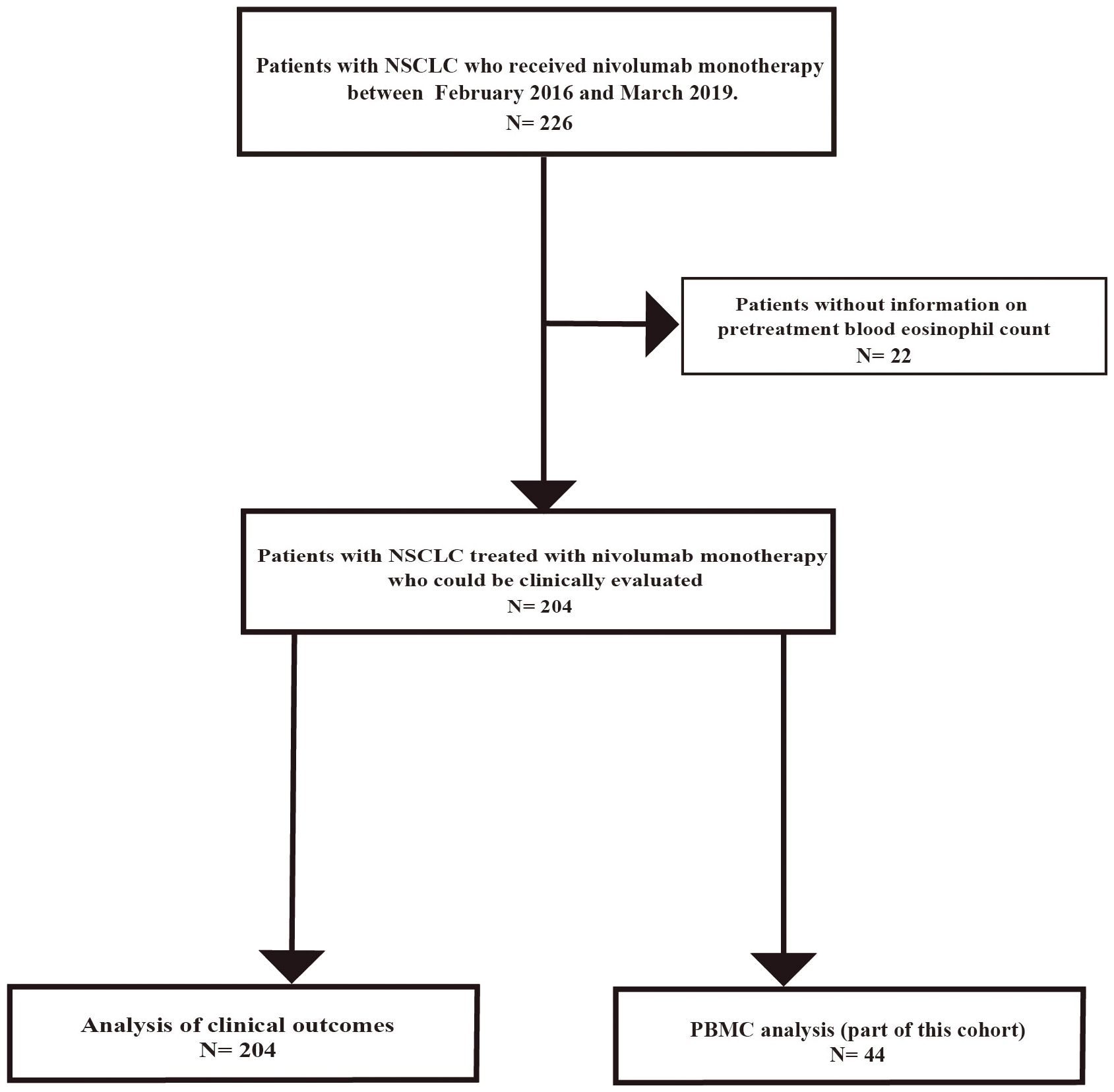 Flowchart depicting the study cohort for nivolumab monotherapy in NSCLC patients. Initially, 226 patients participated between February 2016 and March 2019. Of these, 22 lacked pretreatment blood eosinophil count data. A total of 204 patients were clinically evaluated, leading to an analysis of clinical outcomes for all and a PBMC analysis for 44 patients.