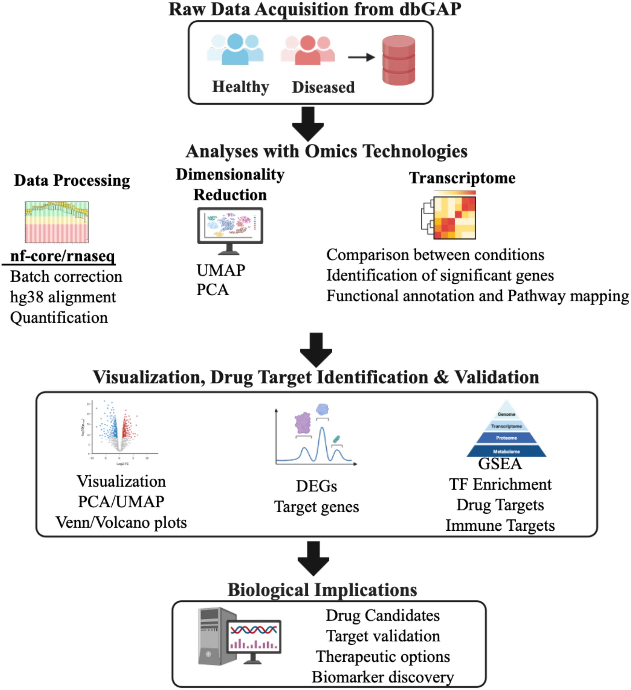 Flowchart detailing a bioinformatics workflow. It begins with raw data acquisition from dbGAP, differentiating healthy and diseased samples. Data processing involves batch correction and quantification using nf-core/rnaseq. Analyses with omics technologies include UMAP and PCA for dimensionality reduction, and transcriptome comparisons. The workflow proceeds to visualization and drug target identification, featuring DEGs and gene targets. GSEA is used for target validation and enrichment. Finally, biological implications are addressed, focusing on drug candidates, target validation, therapeutic options, and biomarker discovery.