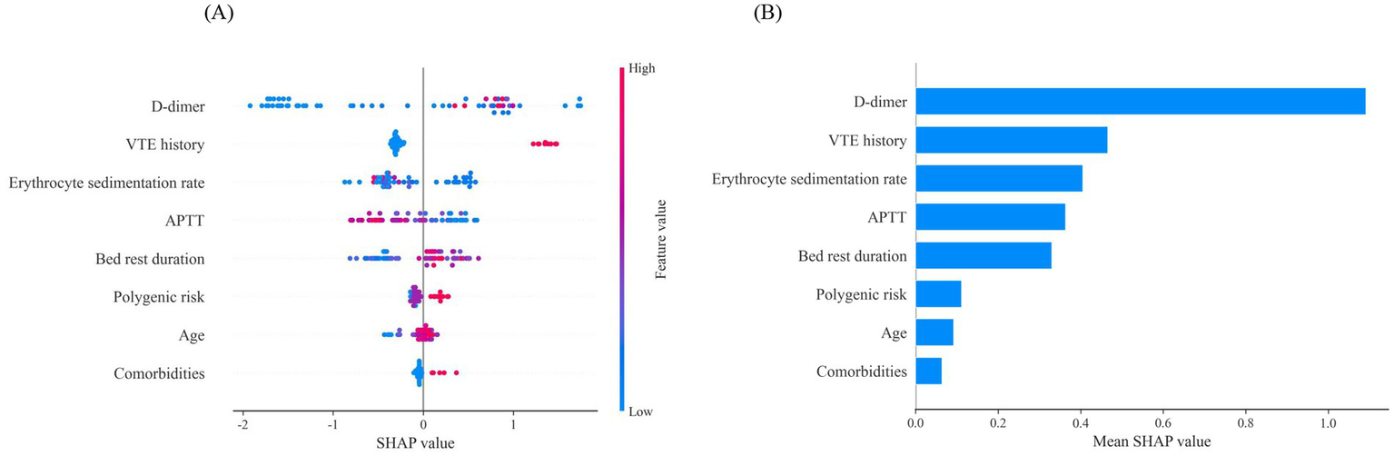 Panel (A) displays a scatter plot of SHAP values for various features related to VTE risk, with color indicating feature value from low (blue) to high (pink). Panel (B) is a bar chart showing mean SHAP values for features like D-dimer and VTE history, highlighting their importance in the model.
