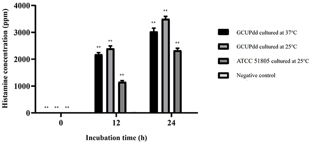 Bar graph showing histamine concentration (ppm) measured at 0, 12, and 24 hours during incubation. Four groups are compared: GCUPdd at 25C, GCUPdd at 37C, ATCC 51805 at 25C, and a negative control. GCUPdd at 37C shows the highest histamin levels at 12 and 24 hours. Asterisks above selected bars indicate statistical significant difference between groups. Error bars represent standard deviation across replicates.