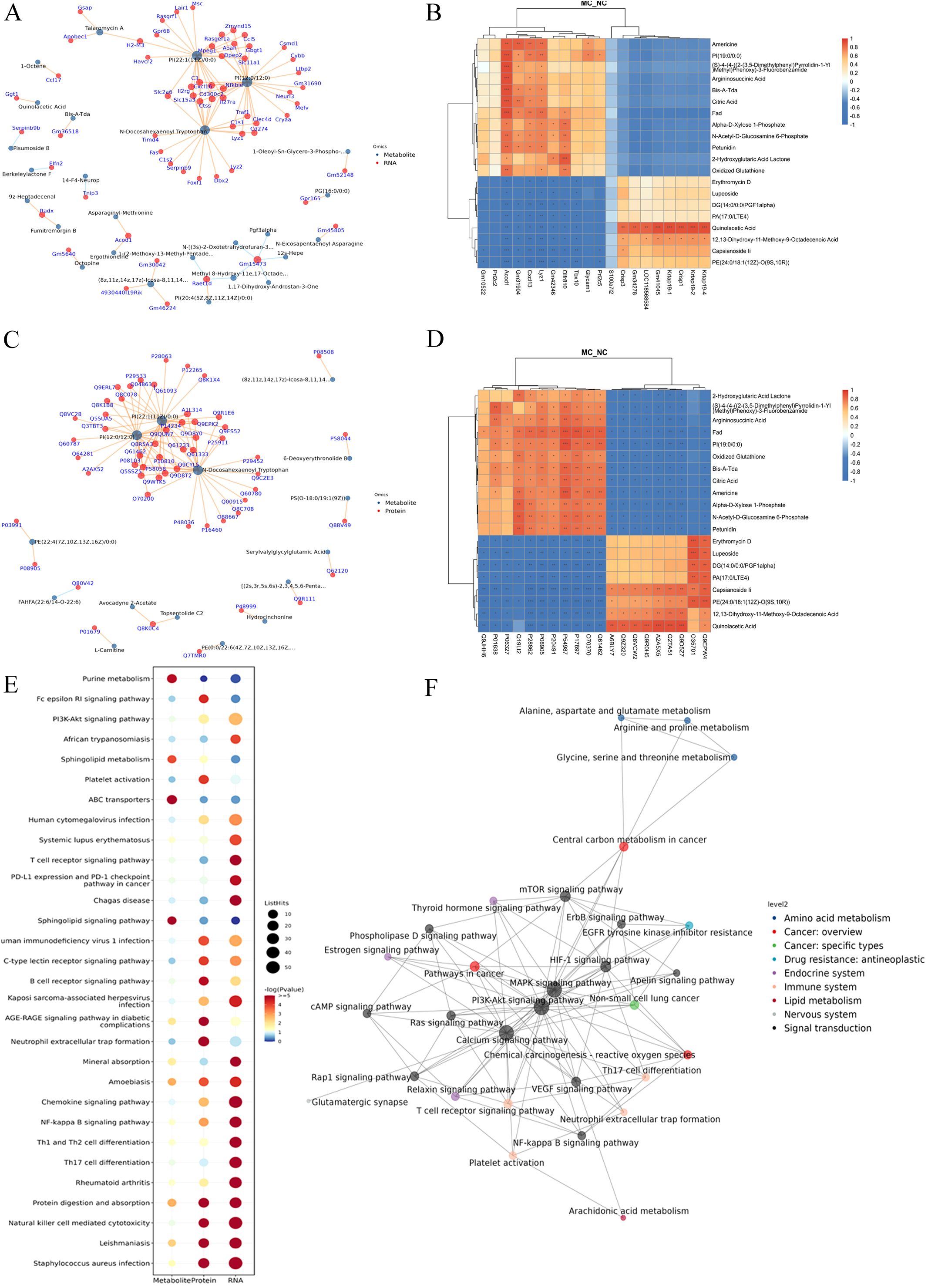 Six-panel image with complex data visualizations: A and C show network diagrams with metabolites and proteins connected by lines. B and D present heatmaps with clustered data, ranging from blue to orange. E displays a bubble chart with pathways and color-coded significance levels. F illustrates a network graph depicting metabolic pathways with various colored nodes indicating pathway classification.