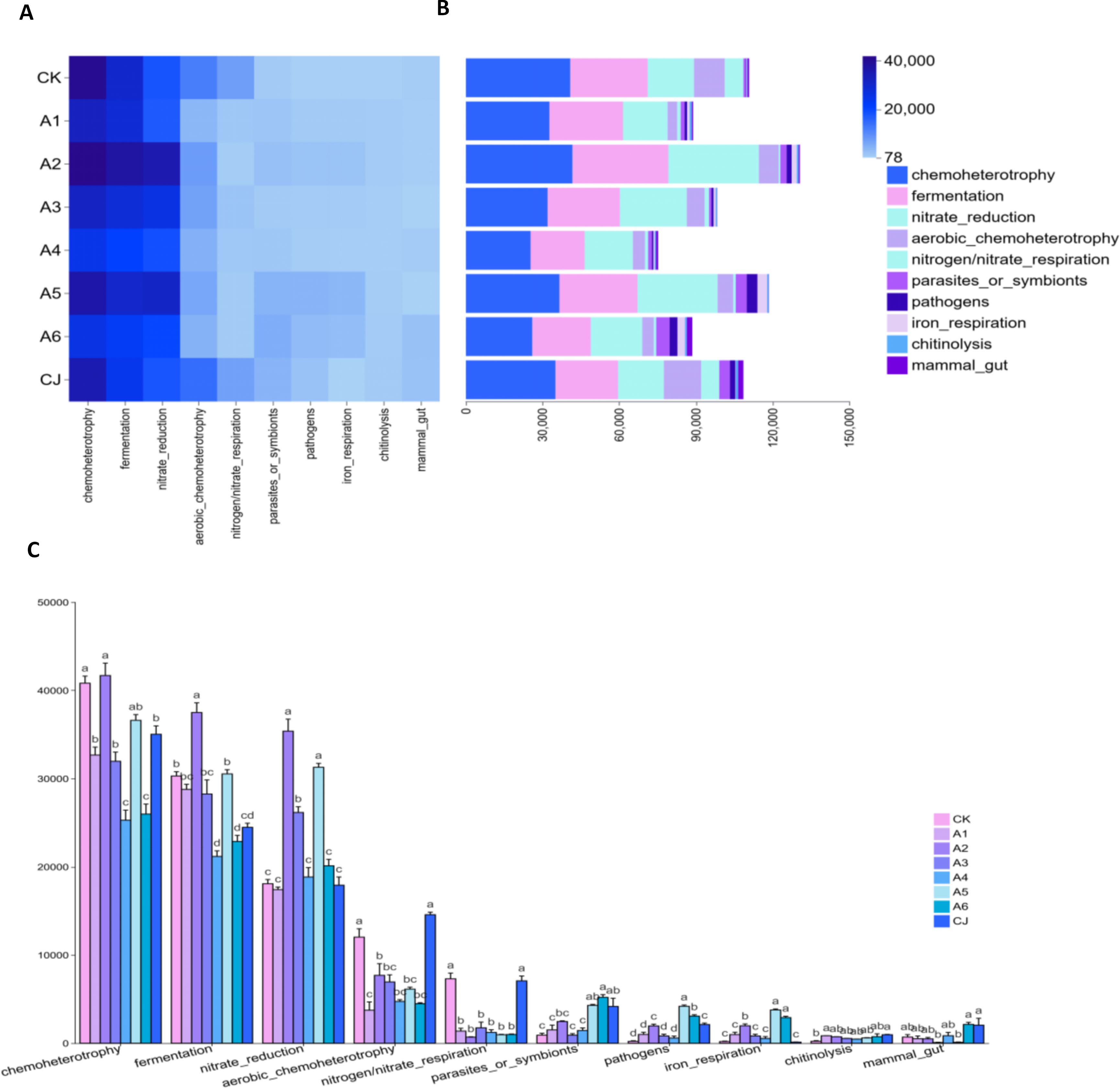 Three-part visualization with microbial data. Panel A: Heatmap displaying abundance across different categories for samples CK, A1-A6, and CJ. Panel B: Stacked bar chart showing numerical values per category, using a color gradient for differentiation. Panel C: Bar chart with error bars depicting abundance of categories per sample, color-coded like Panel B. Categories include chemosheterotrophy, fermentation, nitrate reduction, and others, with detailed color legend for clarity.