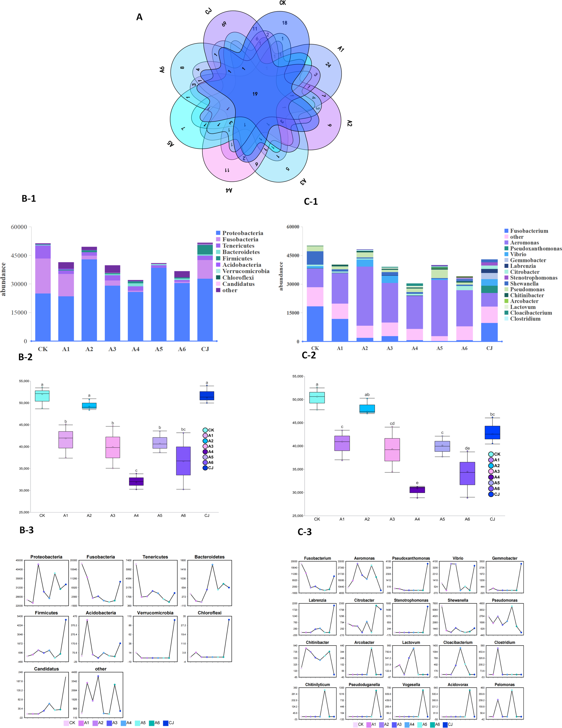 Diagram composed of several panels labeled A, B-1, B-2, B-3, C-1, C-2, and C-3. Panel A shows a multi-layered Venn diagram with overlapping sections. Panels B-1 and C-1 depict bar charts comparing microbial abundances across different samples labeled CK, A1, A2, A3, A4, A5, A6, and CJ, with various bacterial phyla represented. Panels B-2 and C-2 contain box plots illustrating statistical distribution of abundances. Panels B-3 and C-3 display multiple line graphs showing abundance trends for specific bacterial groups across samples.