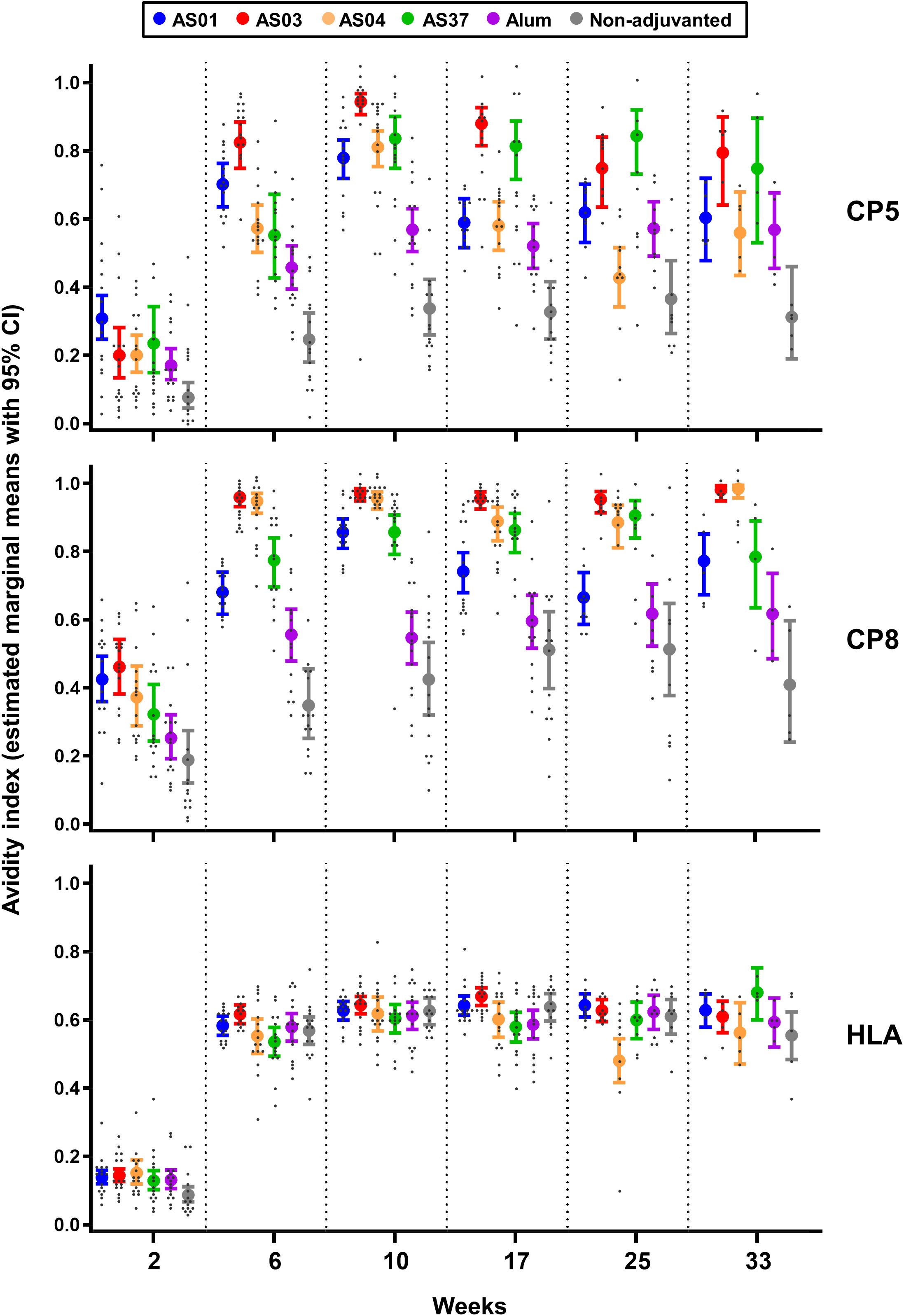 Graph showing avidity index with 95% confidence intervals for different adjuvants over time in weeks, divided into panels for CP5, CP8, and HLA. Each adjuvant is color-coded: AS01 (blue), AS03 (red), AS04 (orange), AS37 (green), Alum (purple), and non-adjuvanted (gray).