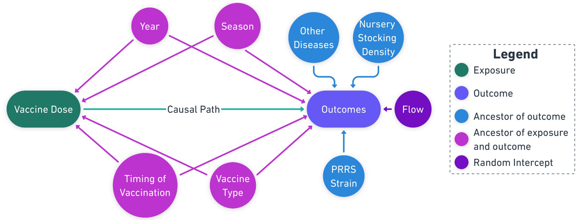 Flowchart depicting causal paths related to vaccine dose (green node), outcomes (blue nodes), and influencing factors (purple, blue, and amethyst nodes). Vaccine dose is linked to outcomes via causal path. Factors like year, season, timing of vaccination, vaccine type (all in purple nodes) impact both vaccine dose and outcomes. PRRS strain, other diseases, and nursery stocking density (in blue nodes) impact outcomes. Flow (in the amethyst node) impacts outcomes. Legend explains colors: Exposure (green), Outcome (blue), Ancestor of outcome (blue), Ancestors of exposure and outcome (purple), and Random intercept (amethyst).