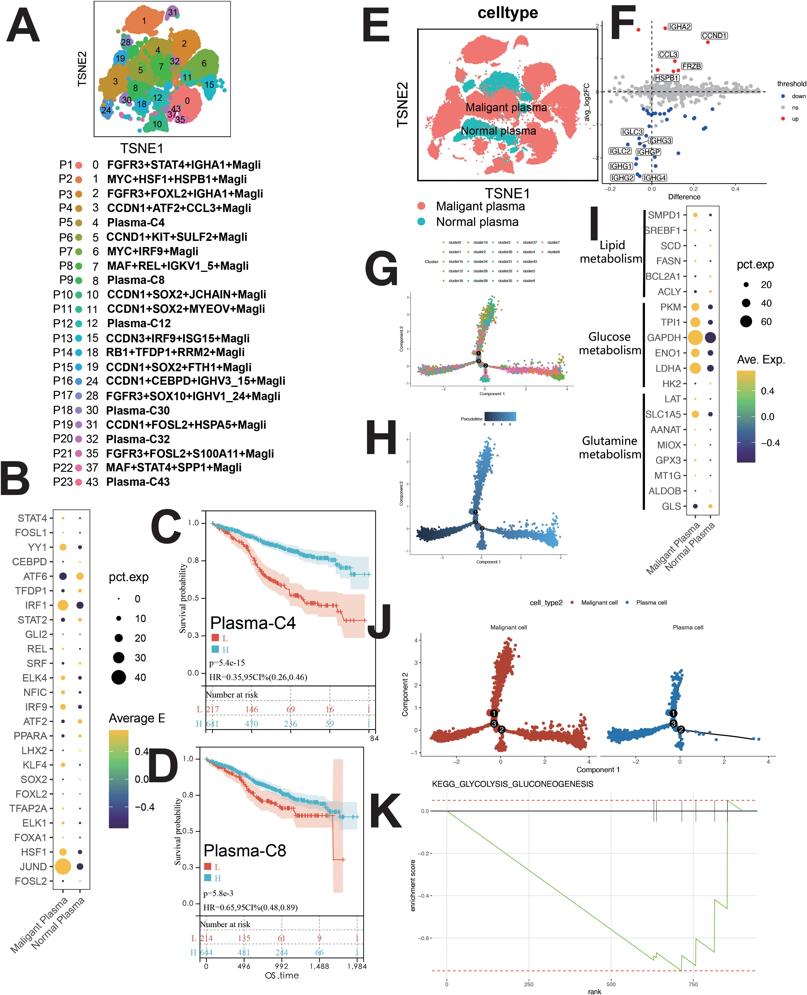 A composite image contains multiple panels with scientific data: A) TSNE plot with distinct clusters labeled P1-P23. B) Dot plot showing gene expression for various genes across malignant and normal plasma. C and D) Kaplan-Meier survival plots for Plasma-C4 and Plasma-C8, showing risk analysis. E) TSNE plot differentiating malignant from normal plasma cells. F) Gene expression difference plot highlighting significant changes. G and H) Pseudotime plots illustrating cellular trajectory in different metabolic pathways. I) Dot plot showing metabolism-related gene expression. J) Pseudotime trajectory comparison for cell types. K) Enrichment plot for KEGG glycolysis/gluconeogenesis pathway.