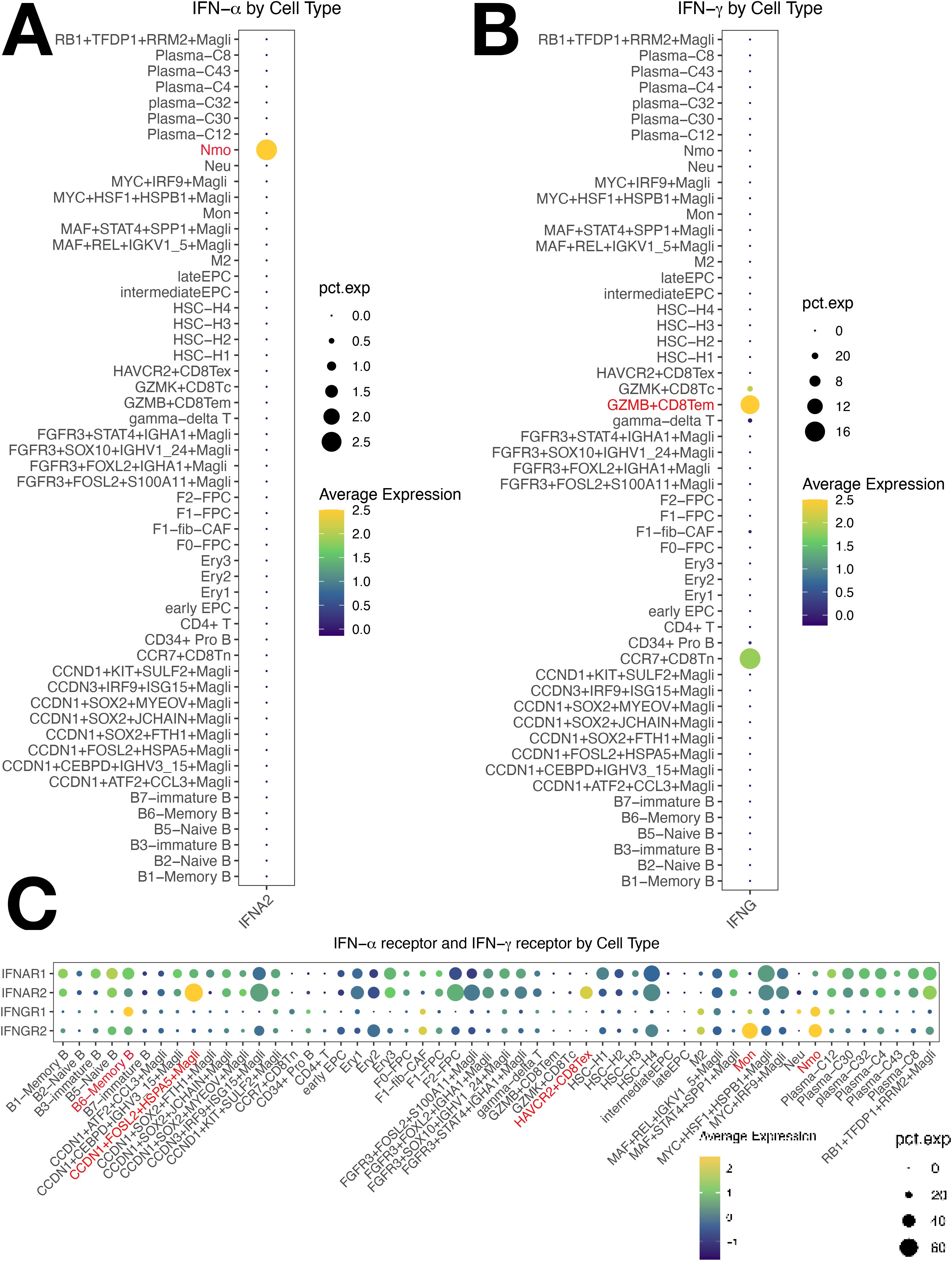 Two panels depicting IFN signaling by cell type. Panel A shows IFN-alpha expression, with dots of varying size indicating percent expression and color representing average expression intensity. Panel B shows similar data for IFN-gamma. Panel C displays receptor expression for both IFN-alpha and IFN-gamma across cell types. A color gradient from blue to yellow represents expression levels, with circle sizes indicating varying expression percentages.
