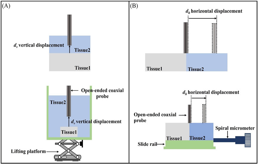 Diagram with two panels labeled A and B. Panel A shows a vertical setup with Tissue1 and Tissue2 stacked vertically, using an open-ended coaxial probe and a lifting platform to demonstrate vertical displacement, \(d_v\). Panel B shows a horizontal arrangement with the same tissues side by side, illustrating horizontal displacement, \(d_h\), using an open-ended coaxial probe, a slide rail, and a spiral micrometer.