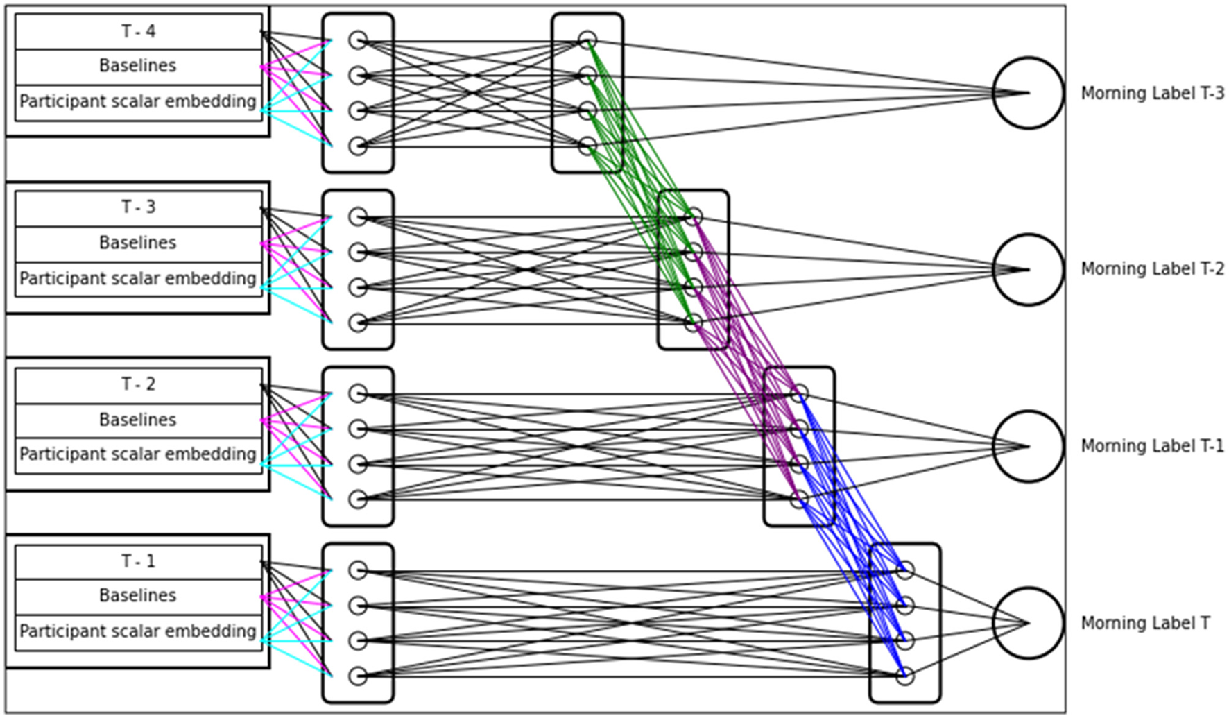 Diagram of a neural network architecture showing four input layers labeled T-4 to T-1. Each contains baselines and participant scalar embeddings. Lines connect to hidden layers, leading to four output nodes labeled Morning Label T-3 to T. The network uses multi-colored connecting lines to illustrate pathways.
