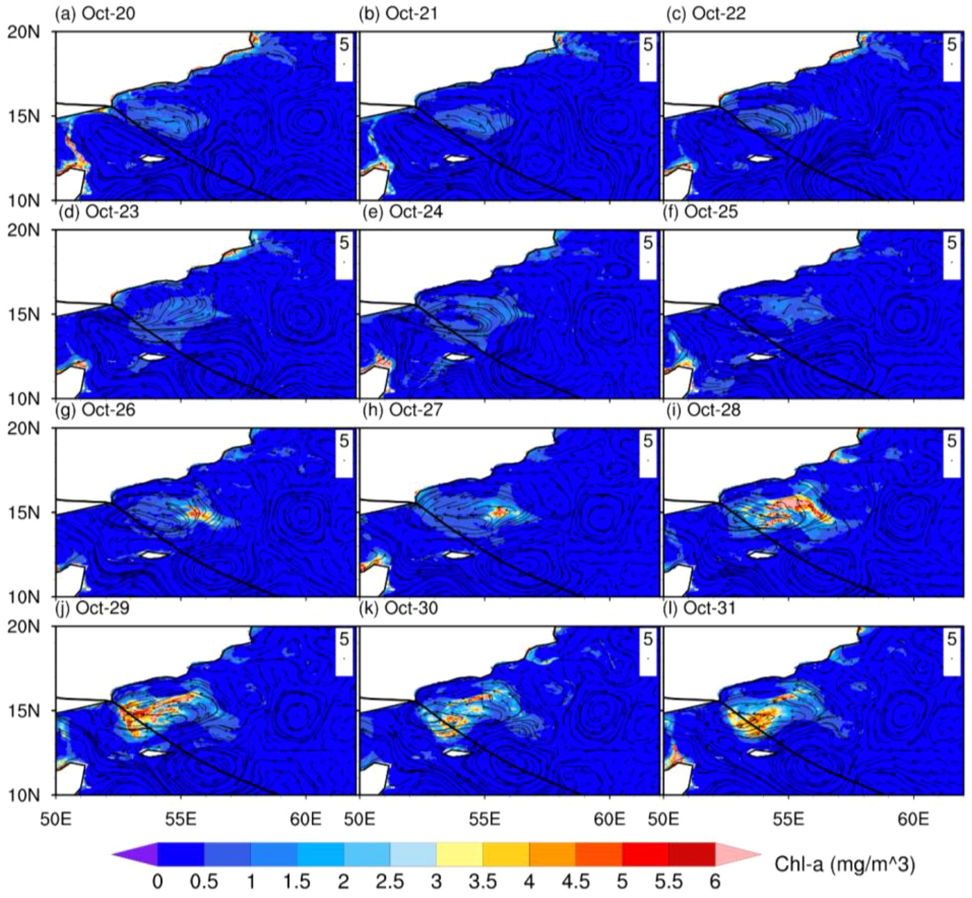 Series of twelve maps showing chlorophyll-a concentration in the ocean from October 20 to 31. The concentration is indicated by color, ranging from purple (low) to red (high). Over the days, the concentration varies significantly, notably increasing from October 26 onward around 15N 55E. Contour lines overlay the maps, denoting oceanographic features.