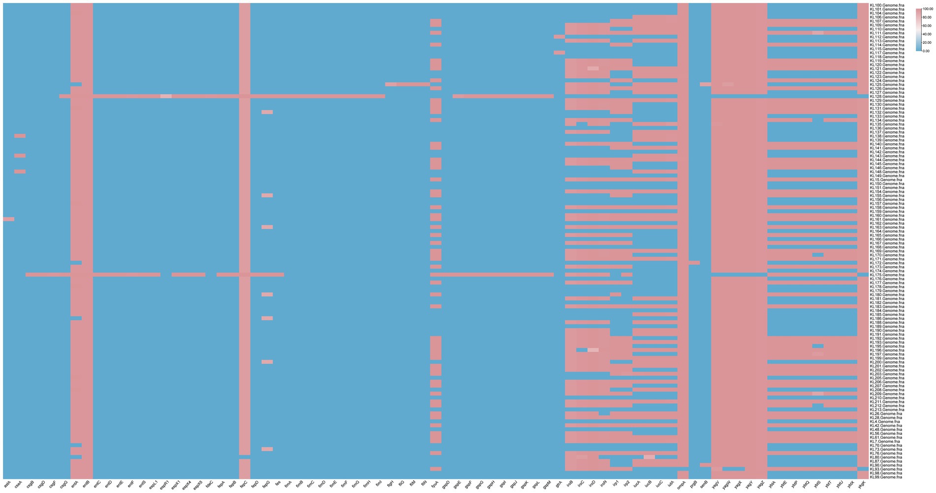 Heatmap comparing genomes, with rows labeled KL1 to KL173 and columns labeled from adaA to yoaE. Cells are colored blue and pink, indicating presence or absence. A color scale ranges from zero to one hundred percent presence.
