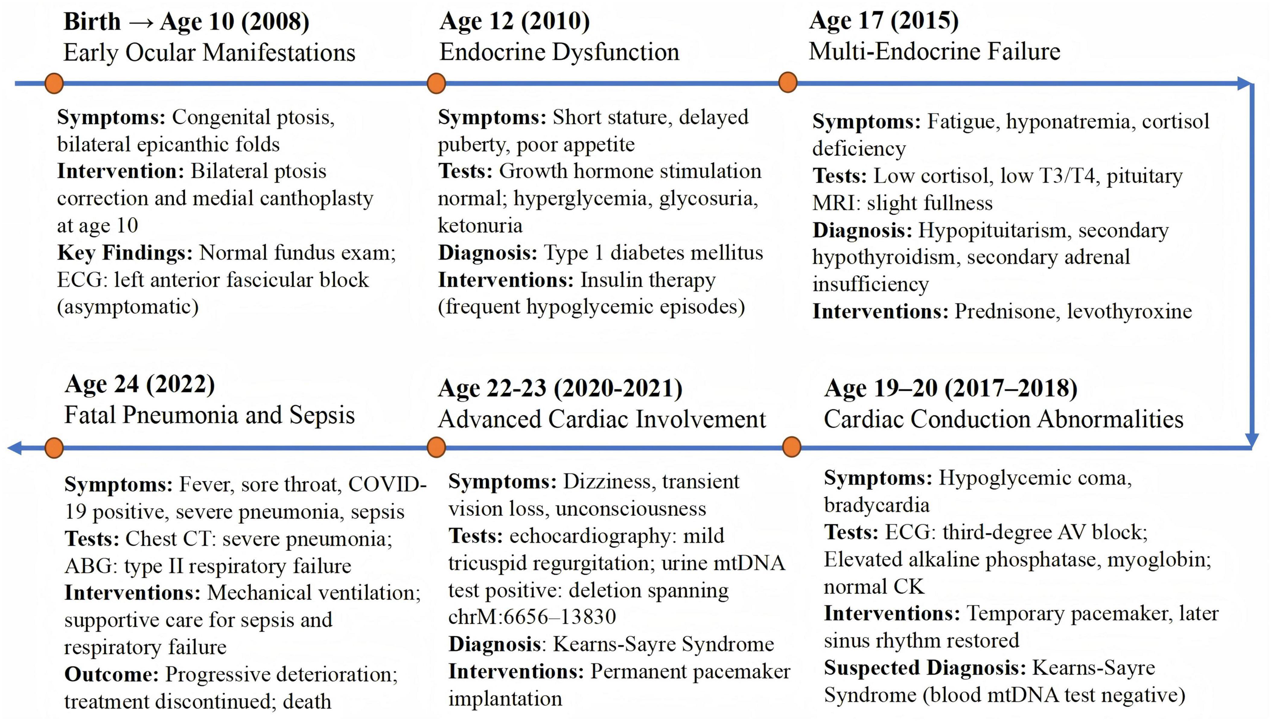 Timeline diagram of a patient’s medical history from birth to age 24, detailing symptoms, interventions, and diagnoses. Stages include early ocular manifestations, endocrine dysfunction, multi-endocrine failure, cardiac conduction abnormalities, advanced cardiac involvement, and fatal pneumonia and sepsis. Specific symptoms and medical findings are listed for each stage, such as congenital ptosis, type 1 diabetes mellitus, hypopituitarism, and severe pneumonia. Interventions include insulin therapy, prednisone, pacemaker implantation, and mechanical ventilation. The suspected diagnosis at some points is Kearns-Sayre Syndrome.