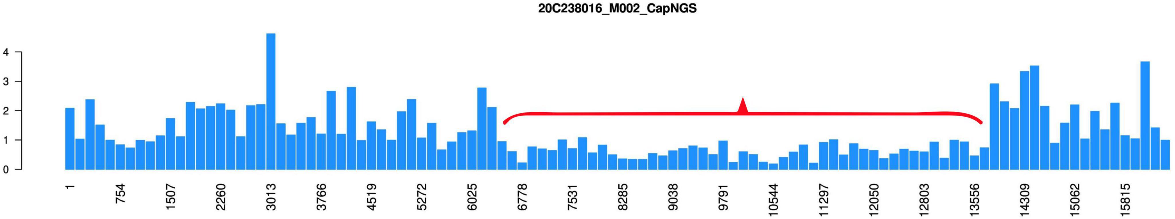 Bar chart showing data distribution across various indices, numbered along the x-axis from 1 to 15915. The y-axis ranges from 0 to 4. A red bracket highlights a section between indices approximately 5272 and 12550. The chart title reads “20C238016_M002_CapNGS”.