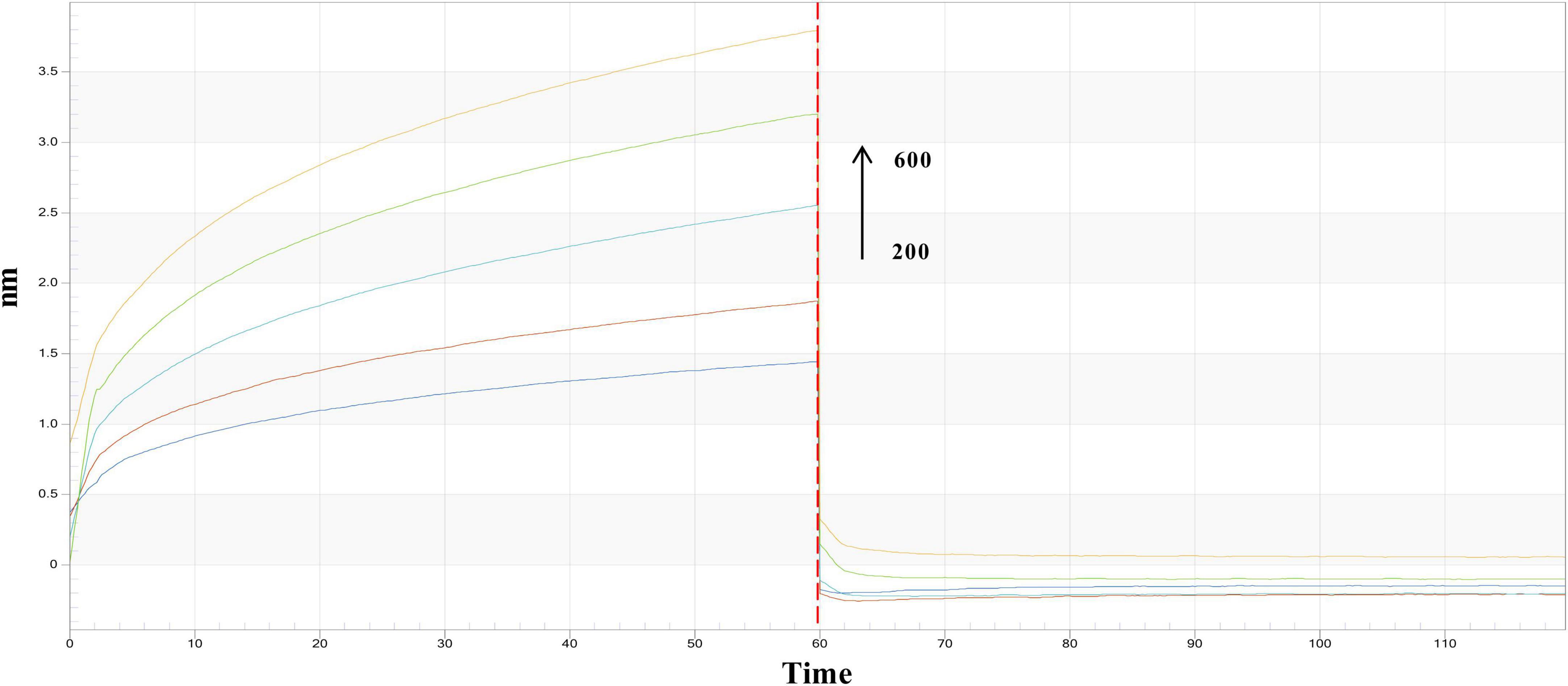 Graph showing multiple curves representing hm over time. Curves rise until around 60 units on the time axis, marked by a vertical dashed red line, then sharply drop and stabilize. An arrow indicates a scale change between 200 and 600 units.